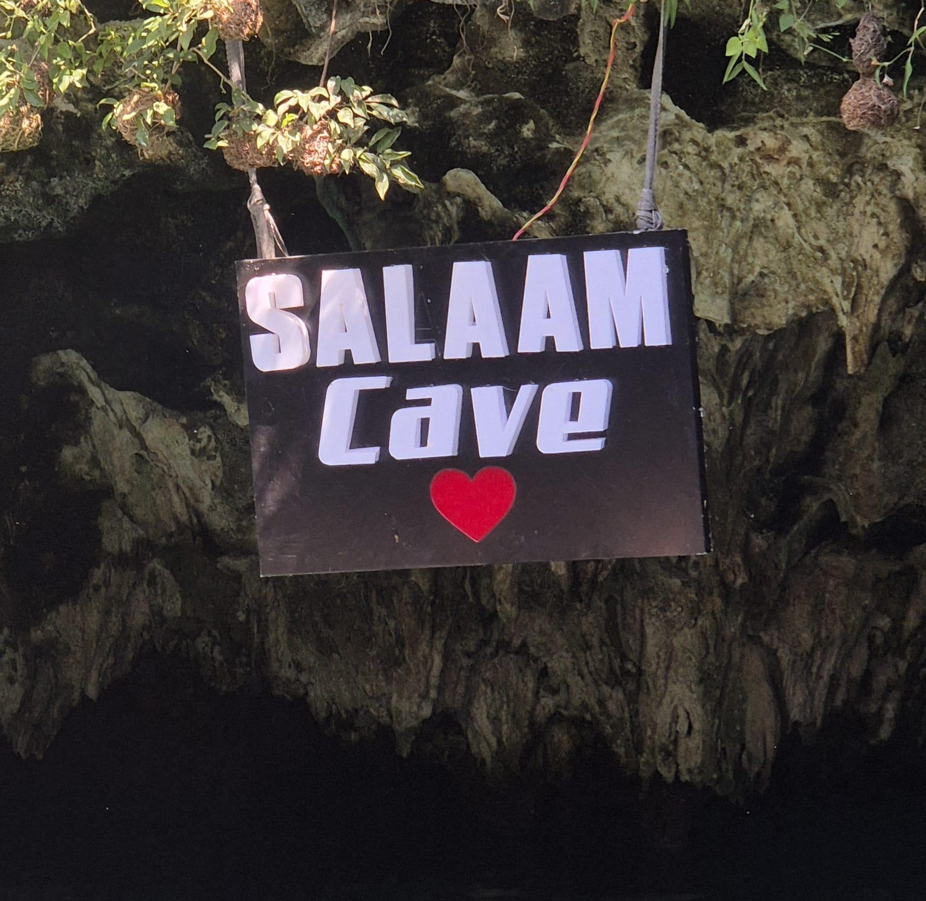 Zanzibar: Jozani Forest & Salaam Cave Sea Turtle Tour
