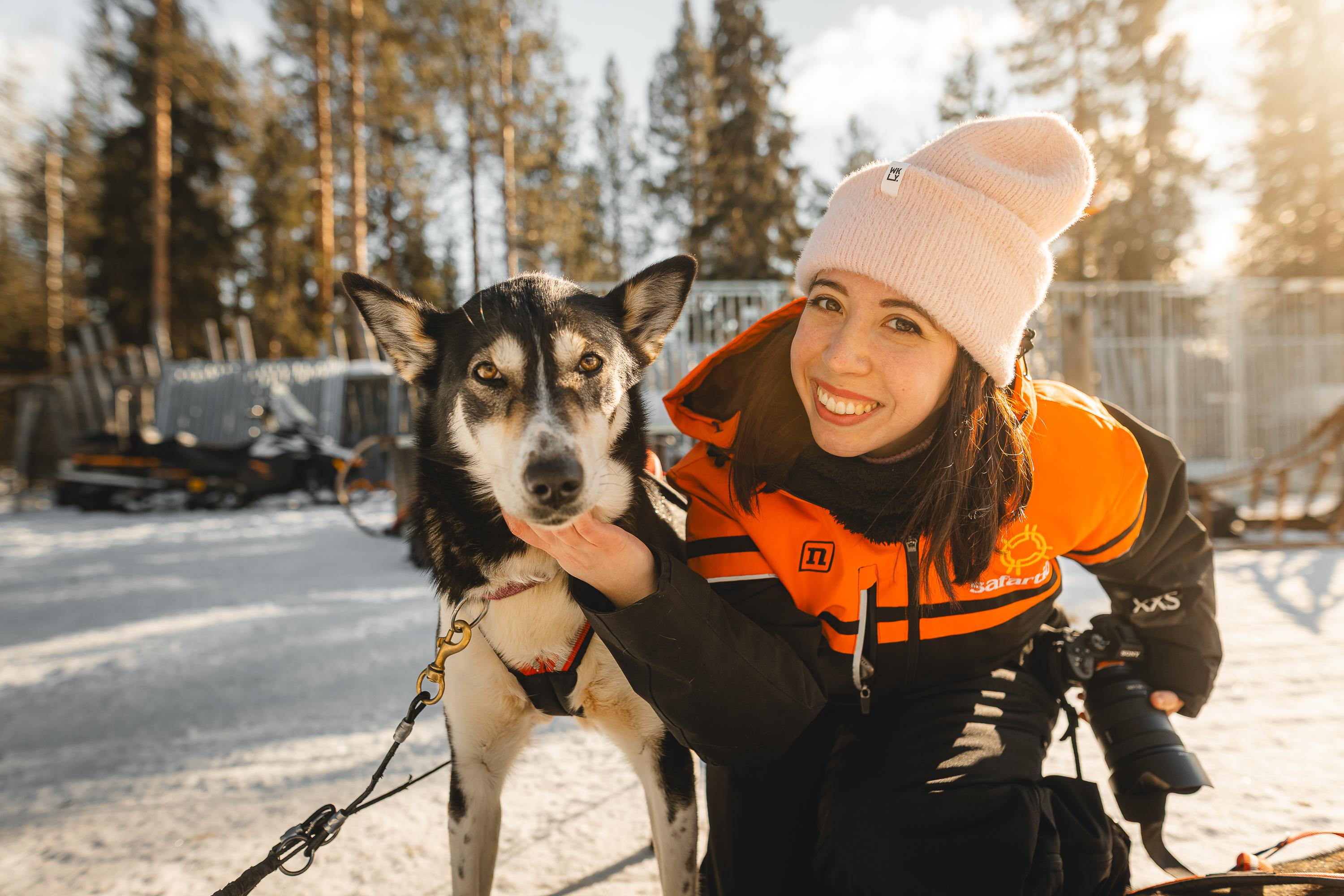 Rovaniemi Daytime Husky Safari