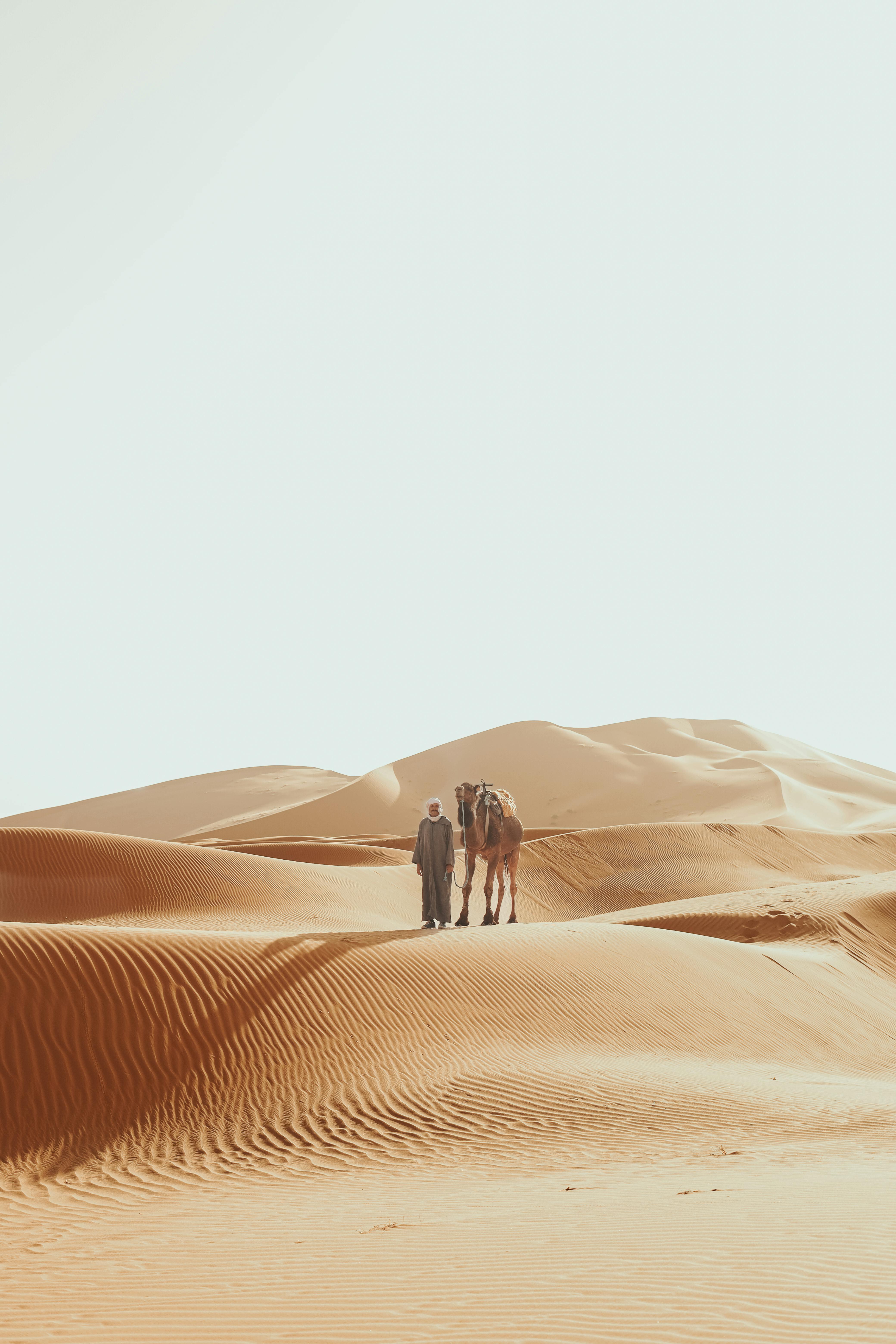 3-Day Sahara Desert Expedition from Marrakech