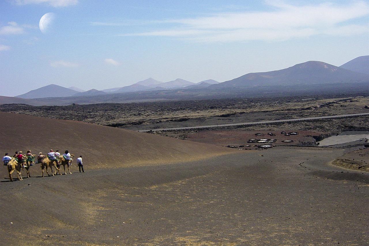 Timanfaya National Park tour in Lanzarote — image 11