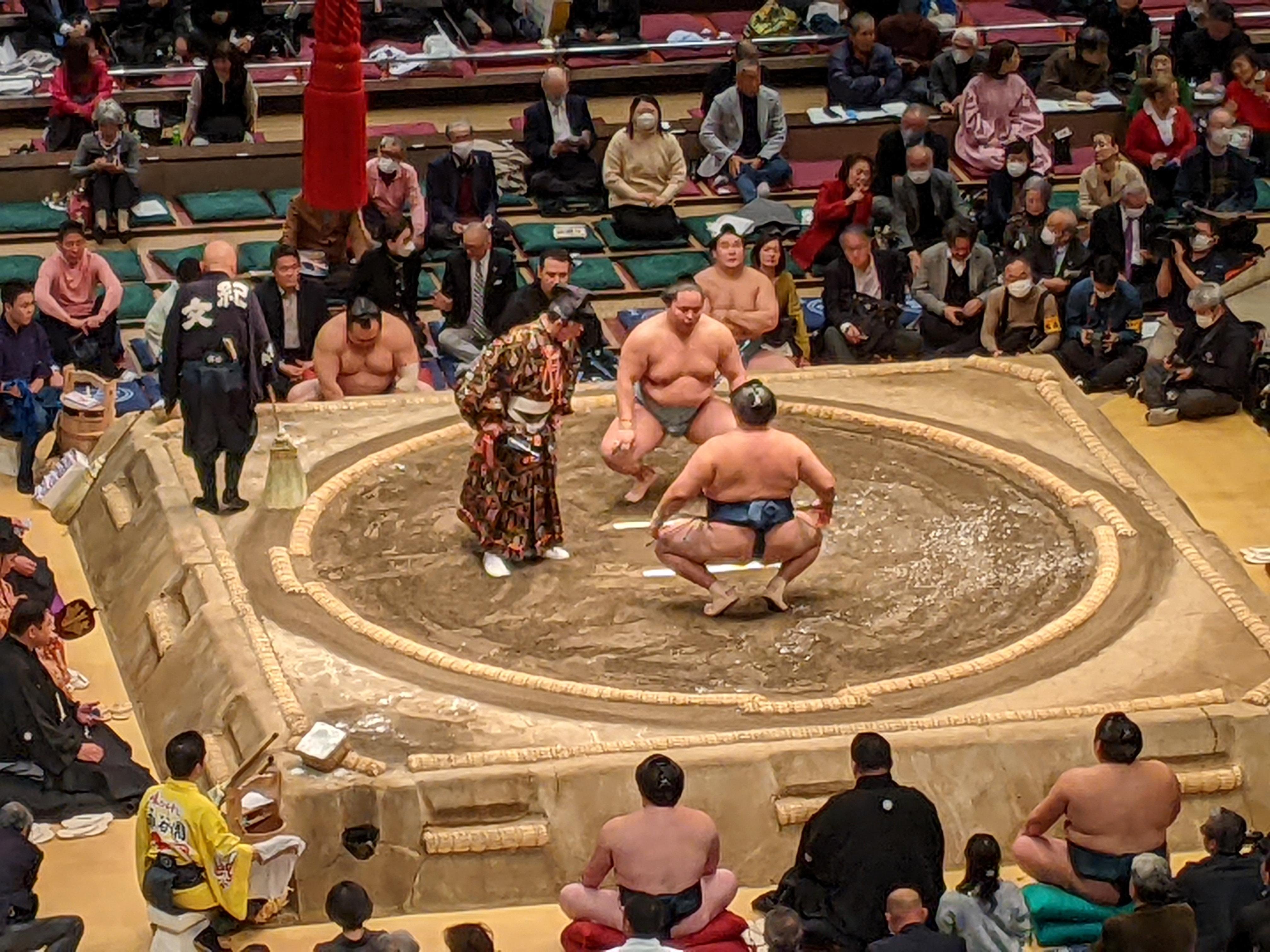 Fukuoka: Watch Sumo Tournament And Visit Sumo Spots!