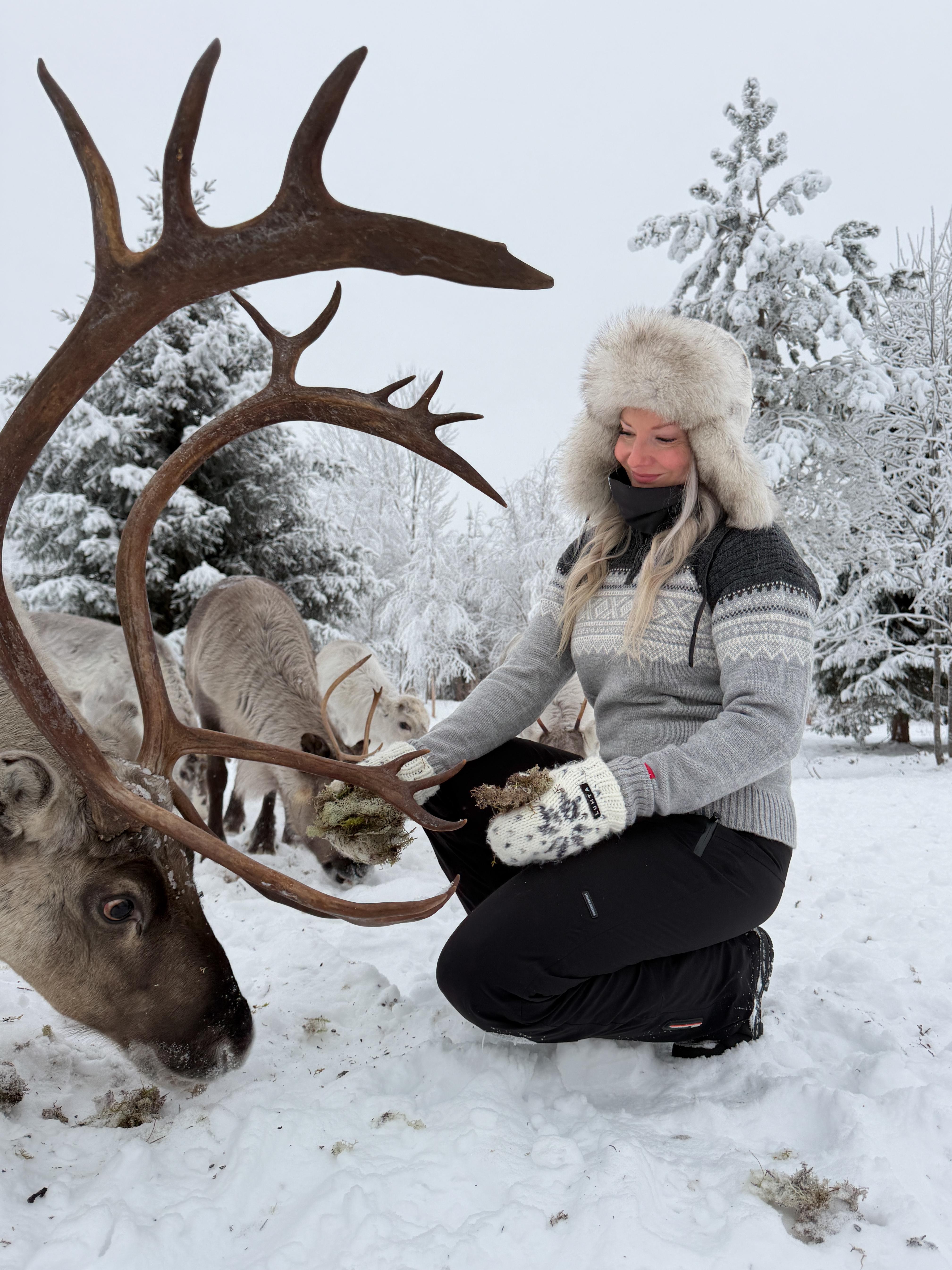 Private Reindeer Encounter at Lapland Home Farm