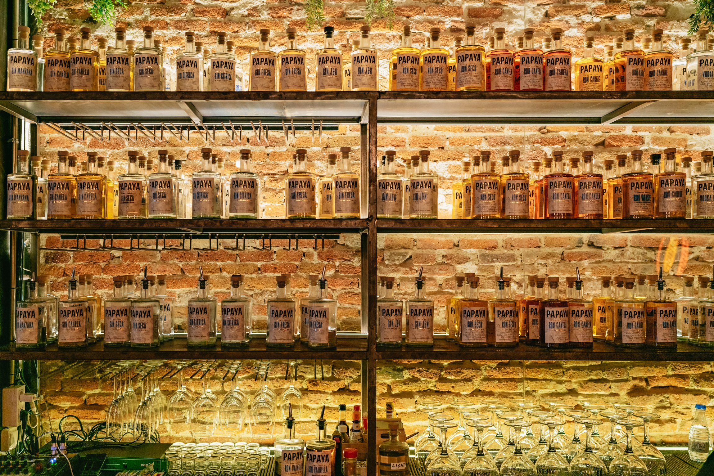 food tour in Madrid — photo 17