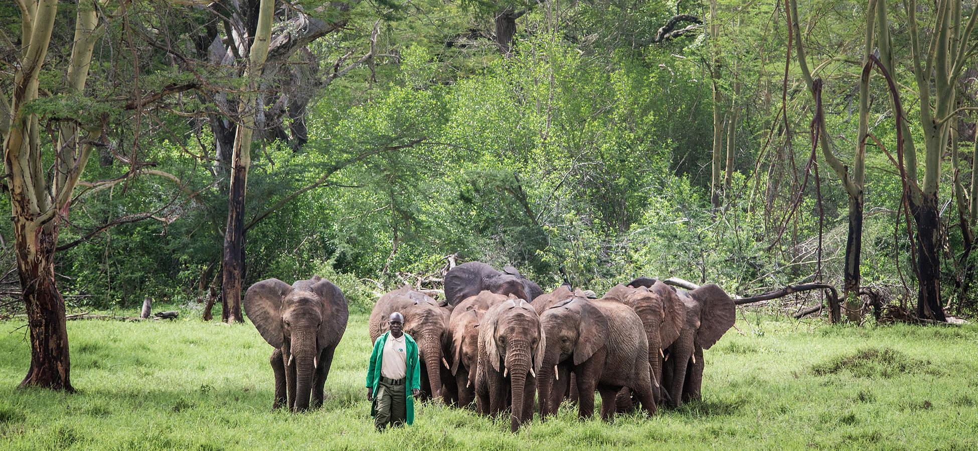 Nairobi Wildlife & History Day Tour