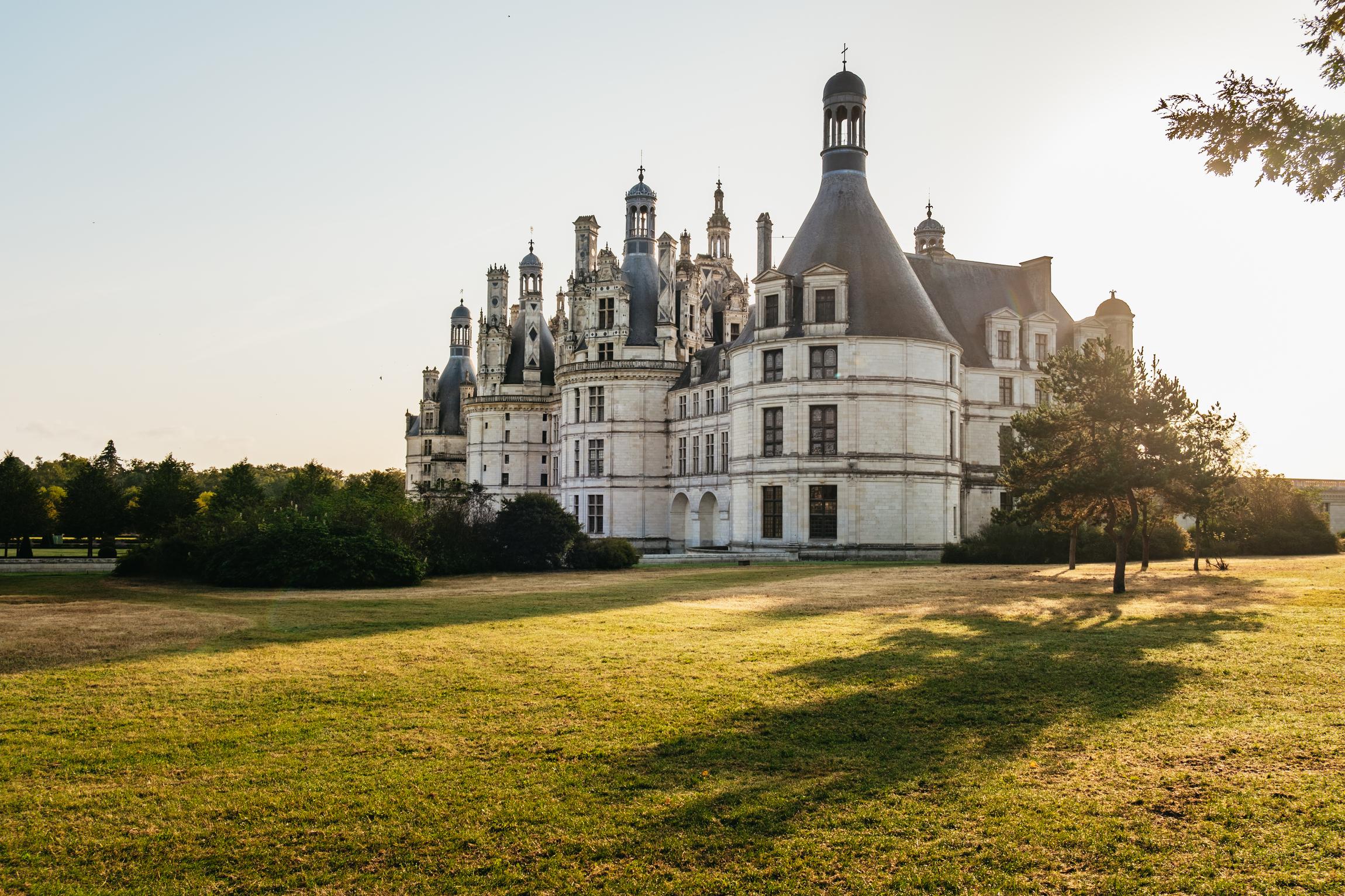 wine tour in Loire Valley — Loire Wine Day from Paris: Chambord Castle, 6 Tastings&Lunch - 2026 (Verified Reviews)