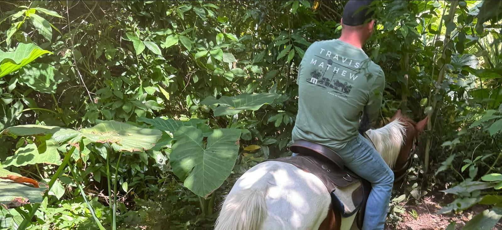 Miami Beach Horseback Trail Adventure