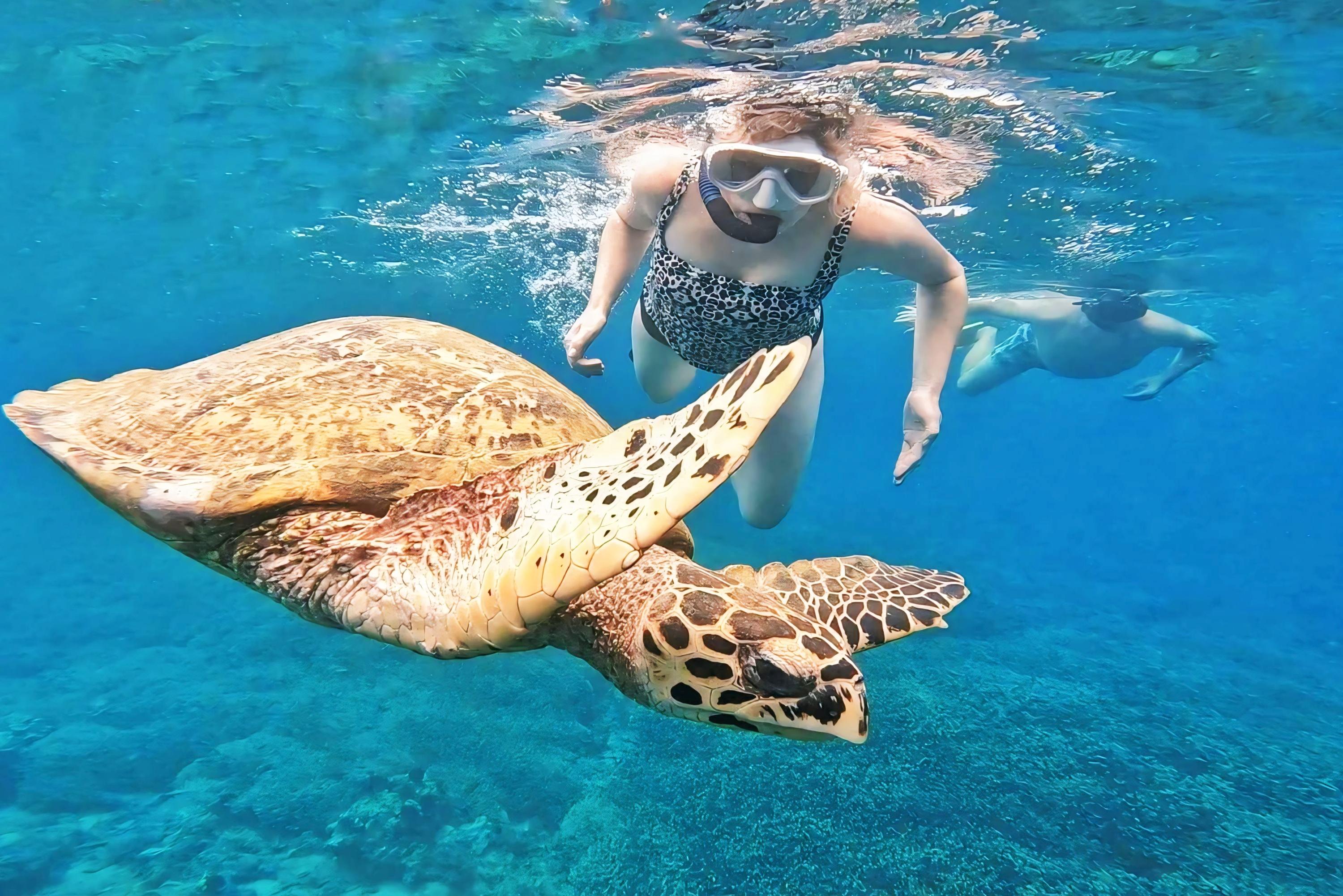Private 5 Secret Gilis Snorkeling Adventure
