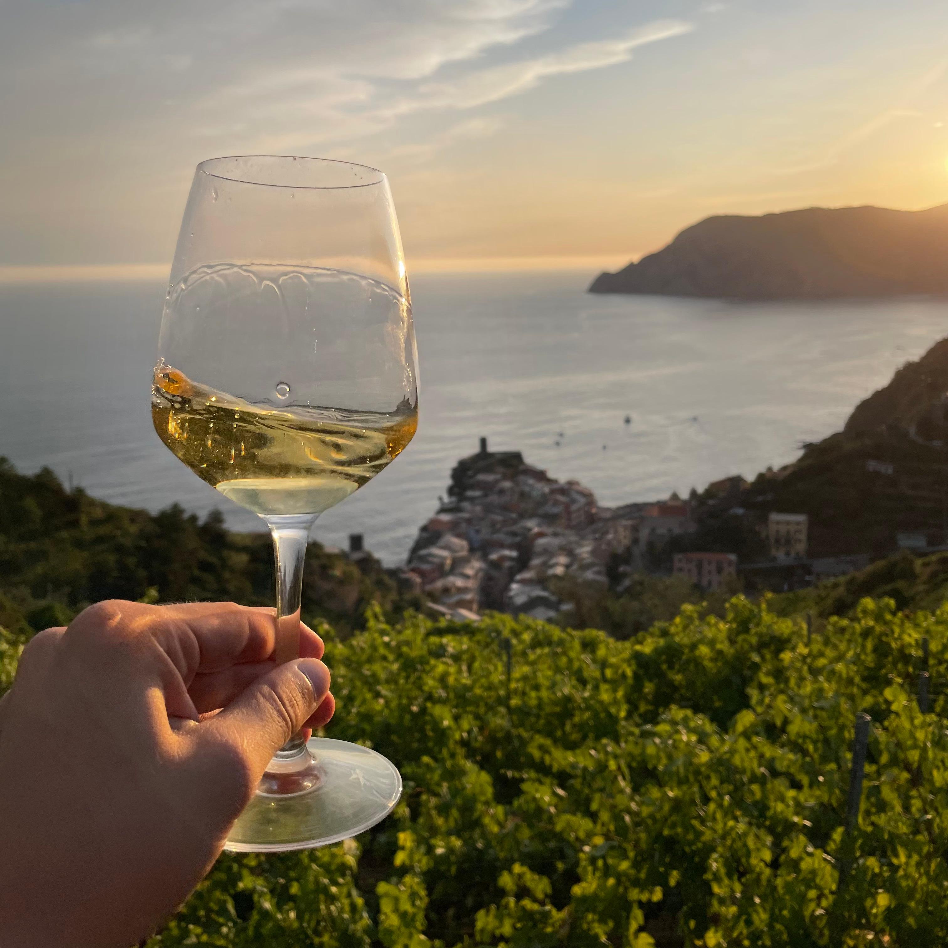 Vernazza Cliffside Vineyard Trek & Wine Tasting
