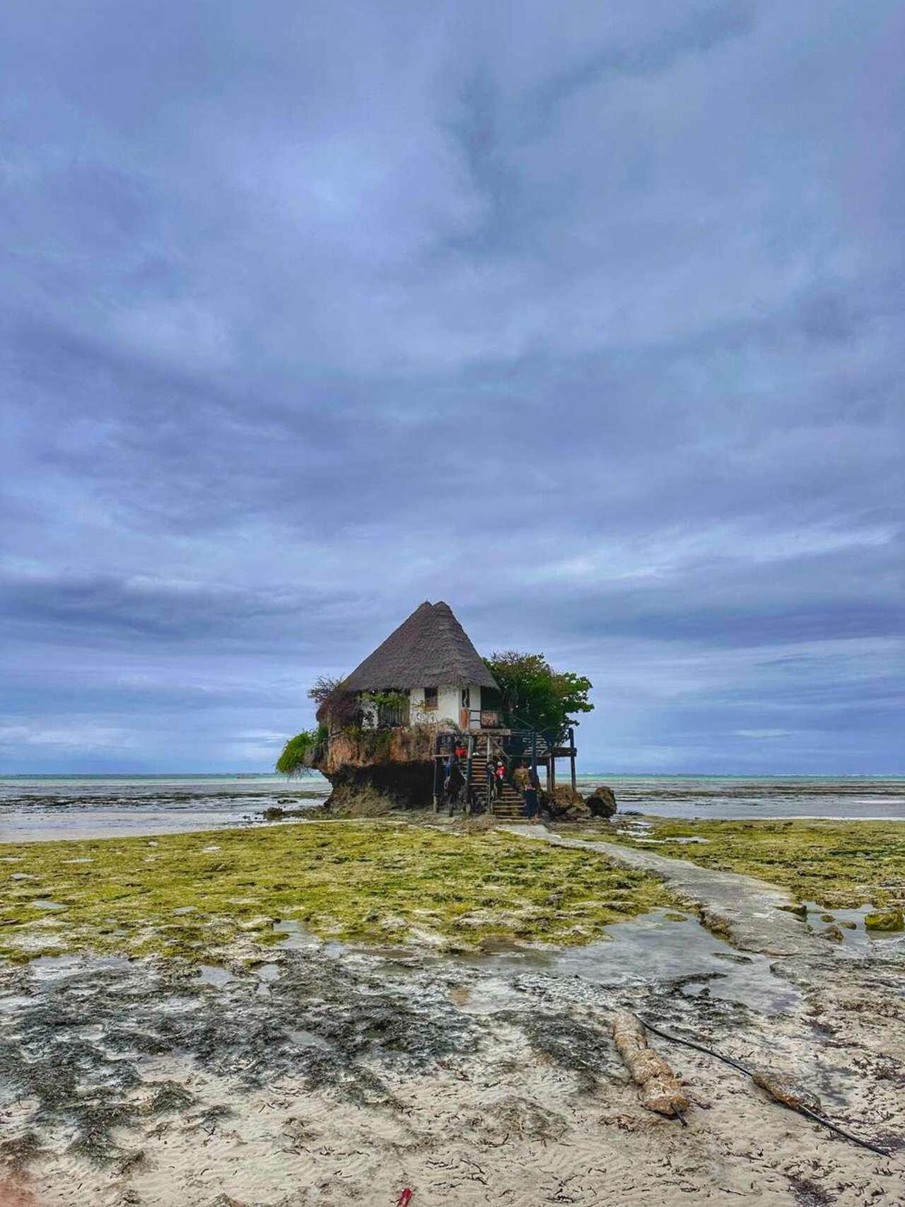 Zanzibar Marine Wonders & The Rock Restaurant Tour