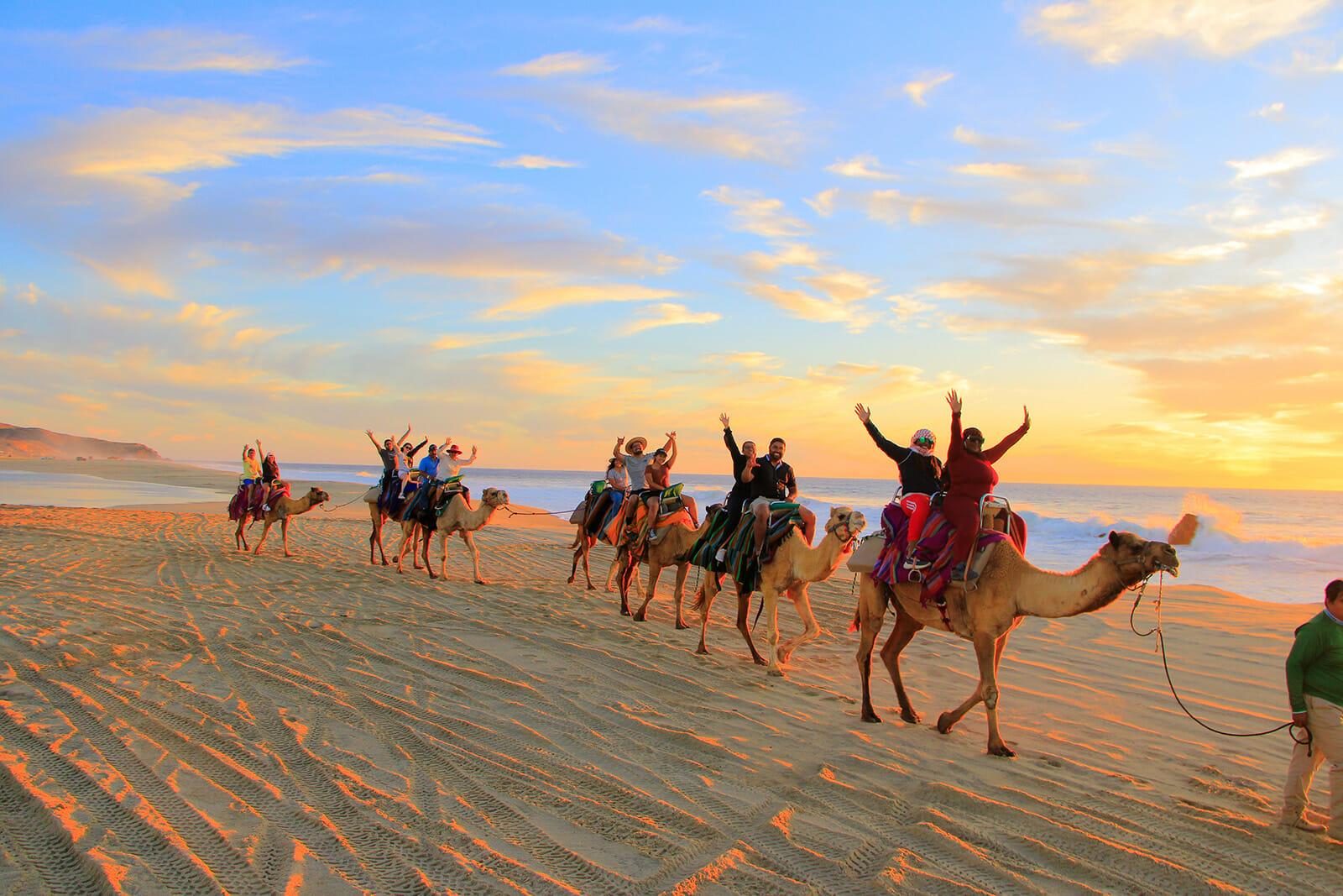 Cabo Desert Camel Ride with Mexican Buffet & Tequila Tasting