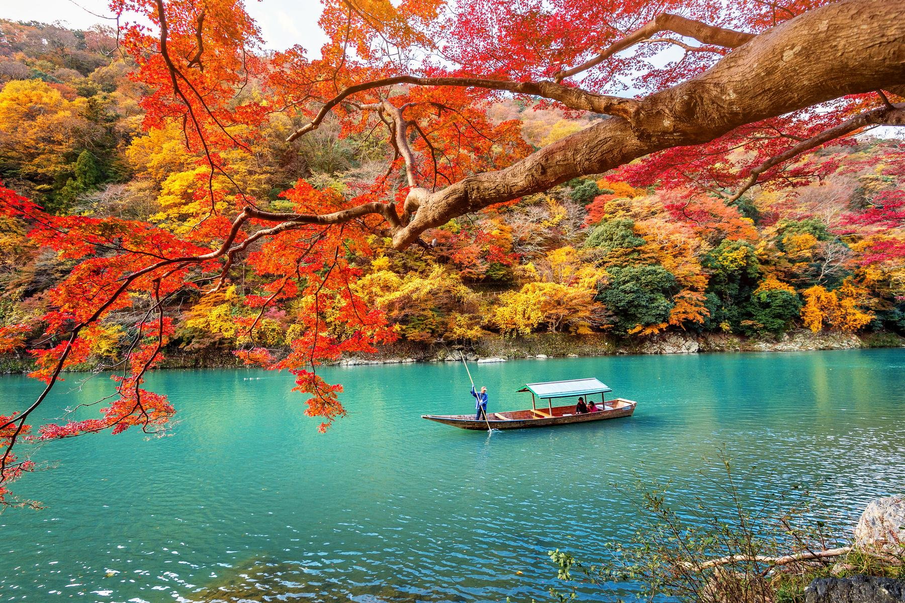 Kyoto Temples & Nara Deer Park Day Trip from Osaka