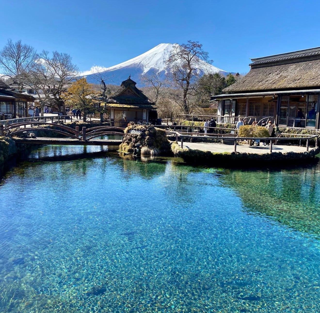 Customizable Mount Fuji Private Day Trip from Tokyo