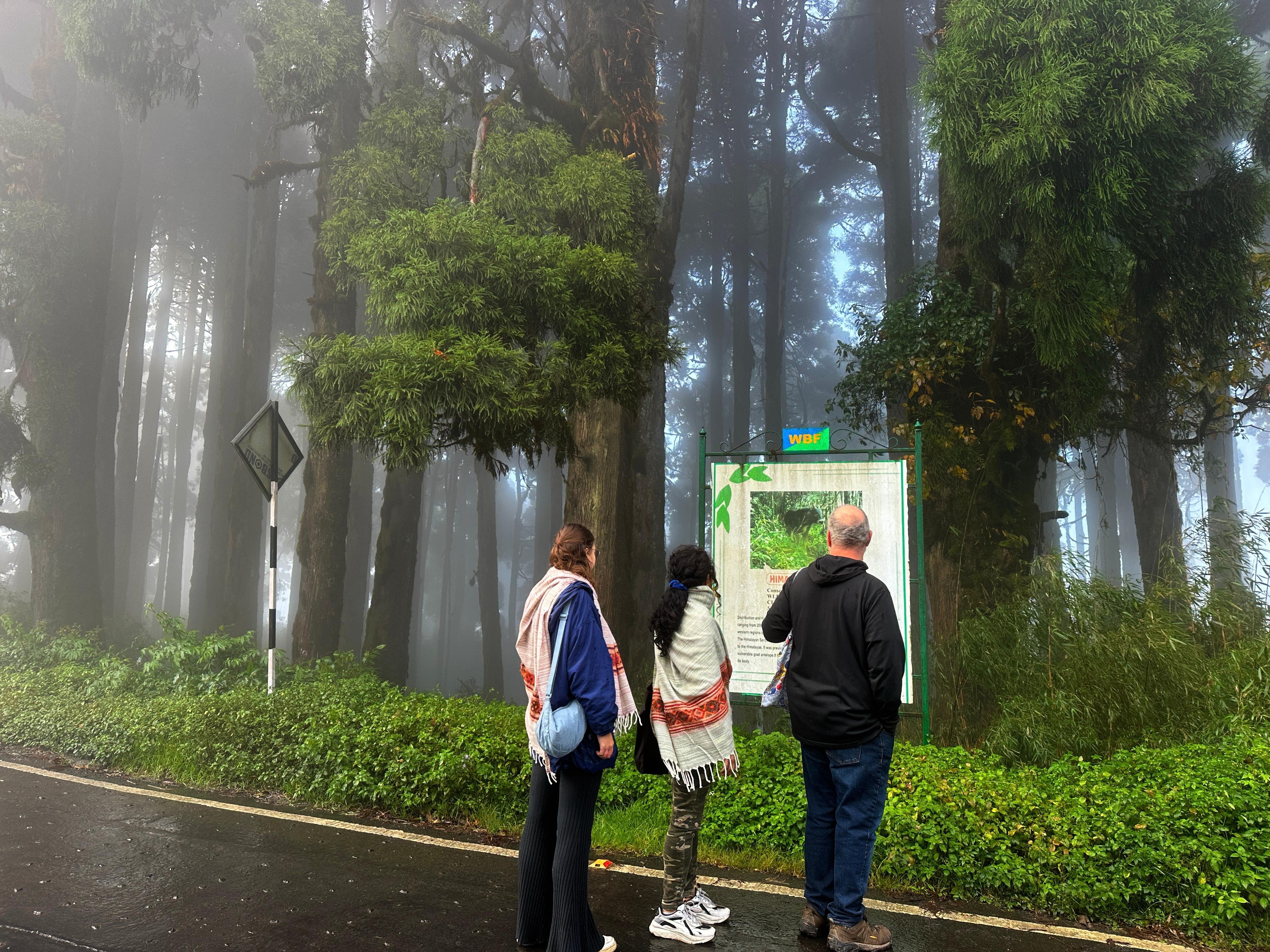 Darjeeling: Tiger Hill Sunrise & Guided Trekking Day Tour