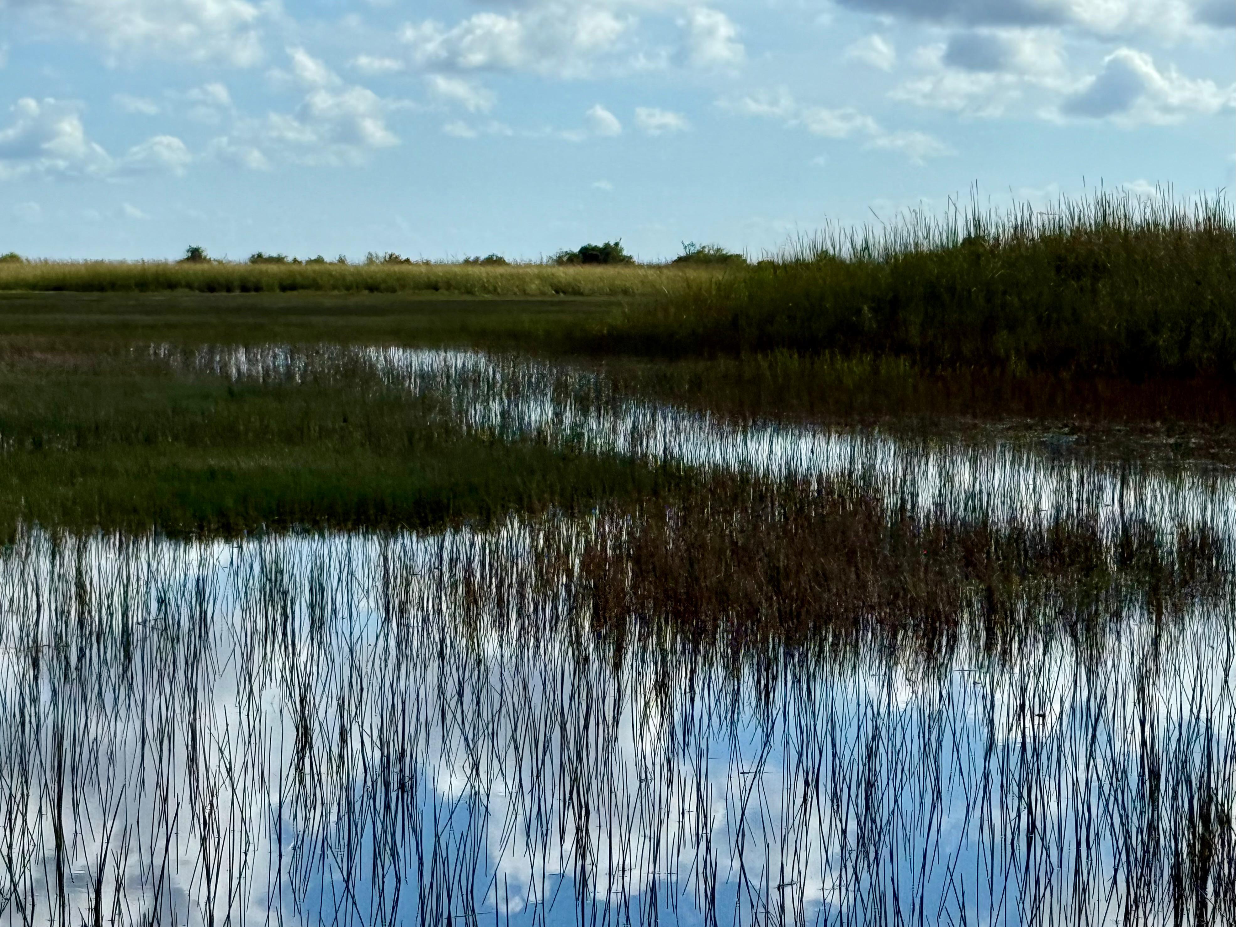 Small-Group Everglades Eco-Adventure & Private Islands Tour