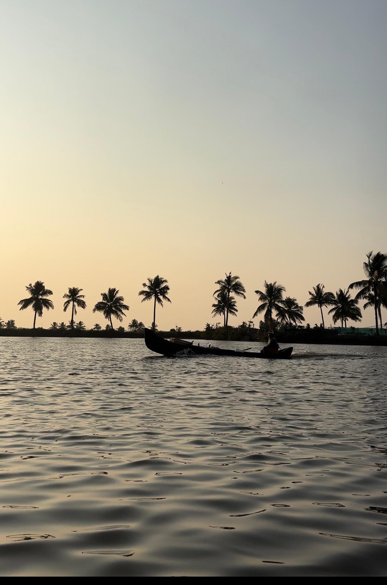 Kochi Backwater Kayaking: Sunrise or Sunset Tour