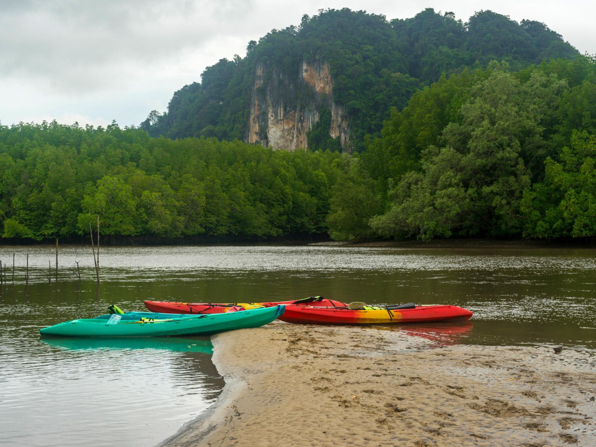 Ao Thalane Mangrove Kayak Adventure – Krabi