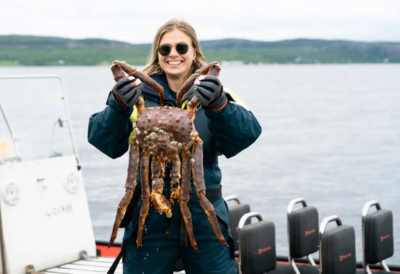 King Crab Safari by RIB Boat with Fresh Crab Feast