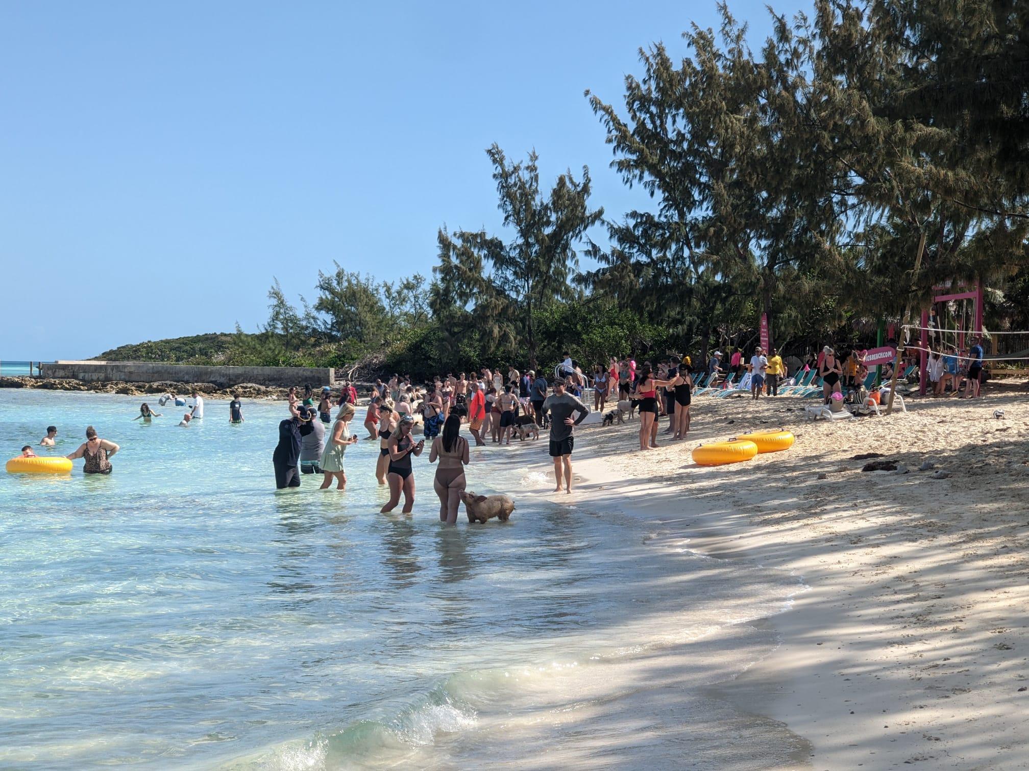 Nassau Catamaran Adventure: Swimming Pigs, Turtles & Snorkeling