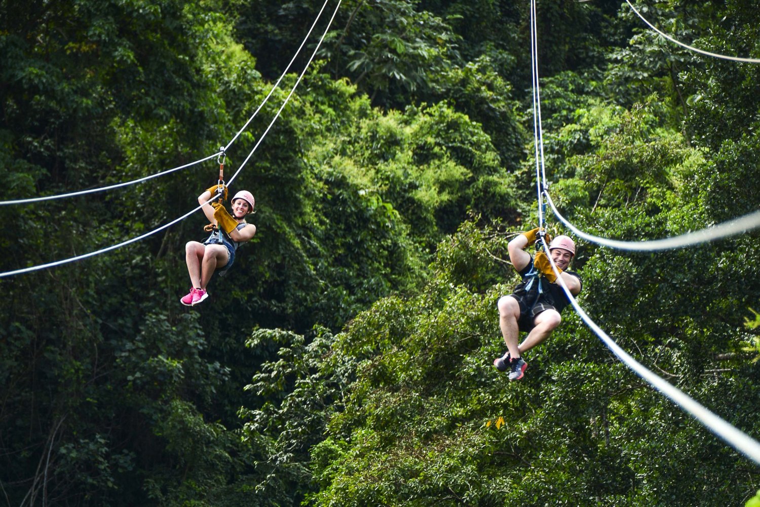 Punta Cana Zipline Adventure & Monkeyland Experience
