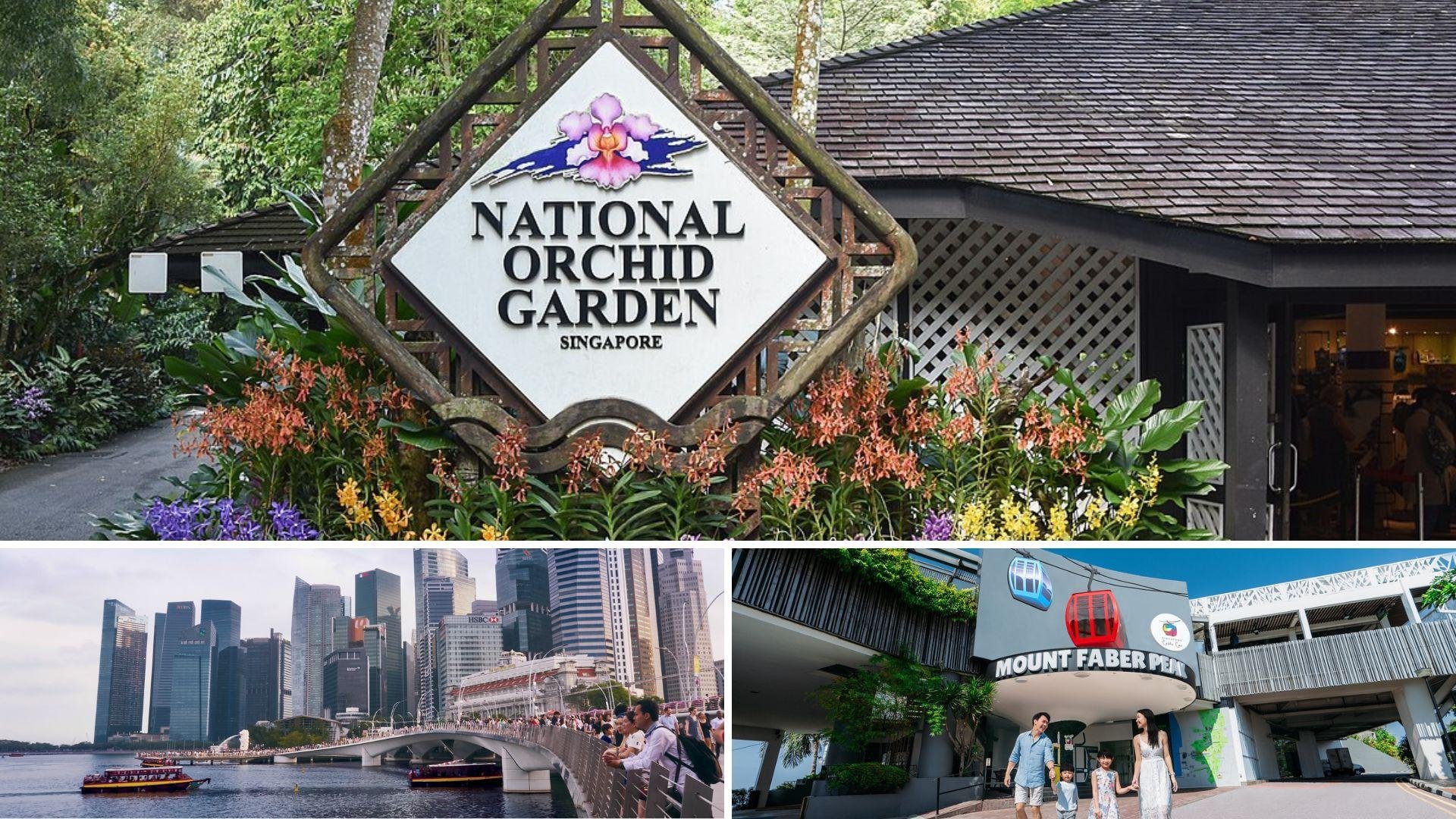 Singapore Half-Day Sightseeing Tour with National Orchid Garden