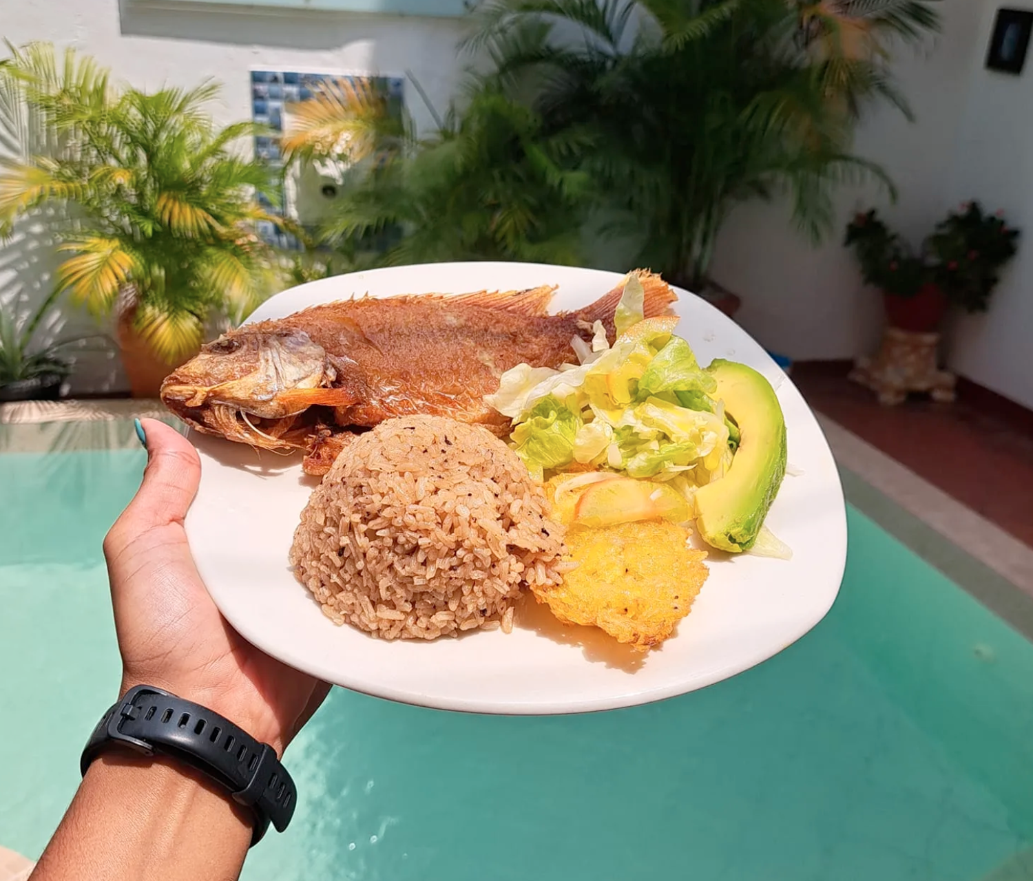 Cartagena Island Hopping & Party Boat Experience