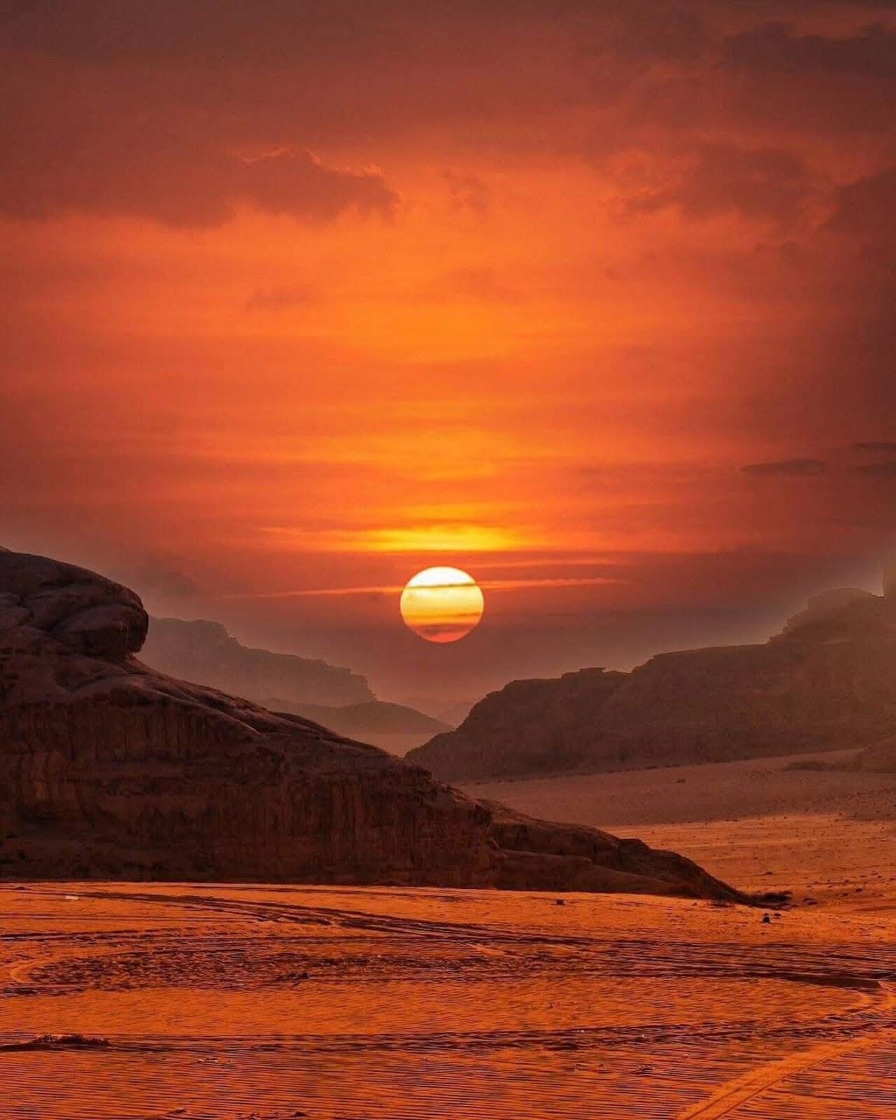 Petra & Wadi Rum: One-Day Private or Group Journey