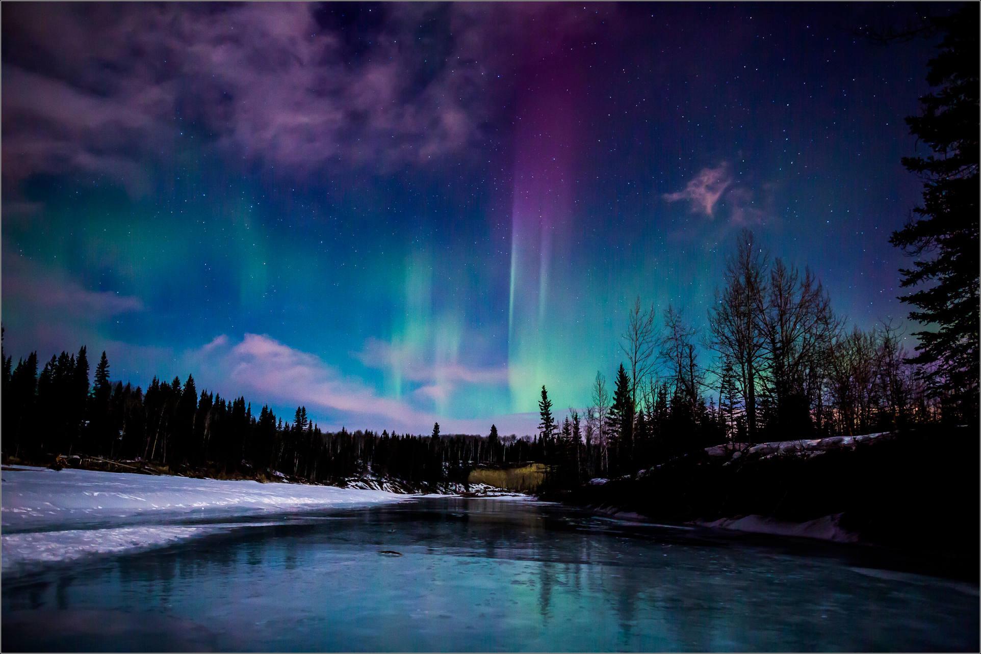 Fairbanks: Northern Lights & Chena Hot Springs Tour