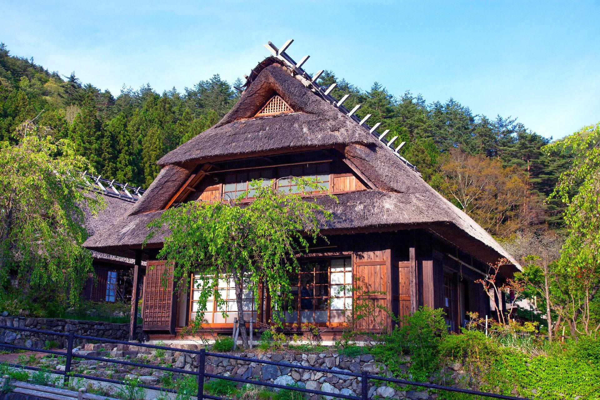 Mt. Fuji Day Tour: Lake Kawaguchi, Oshino Hakkai & Chureito Pagoda from Tokyo