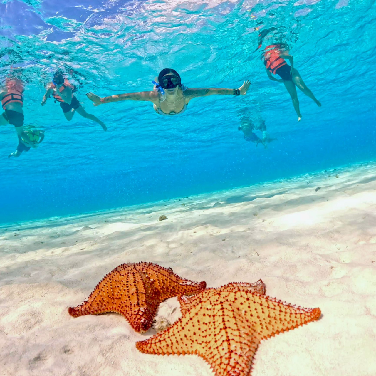 El Cielo Snorkeling Day Trip from Playa del Carmen