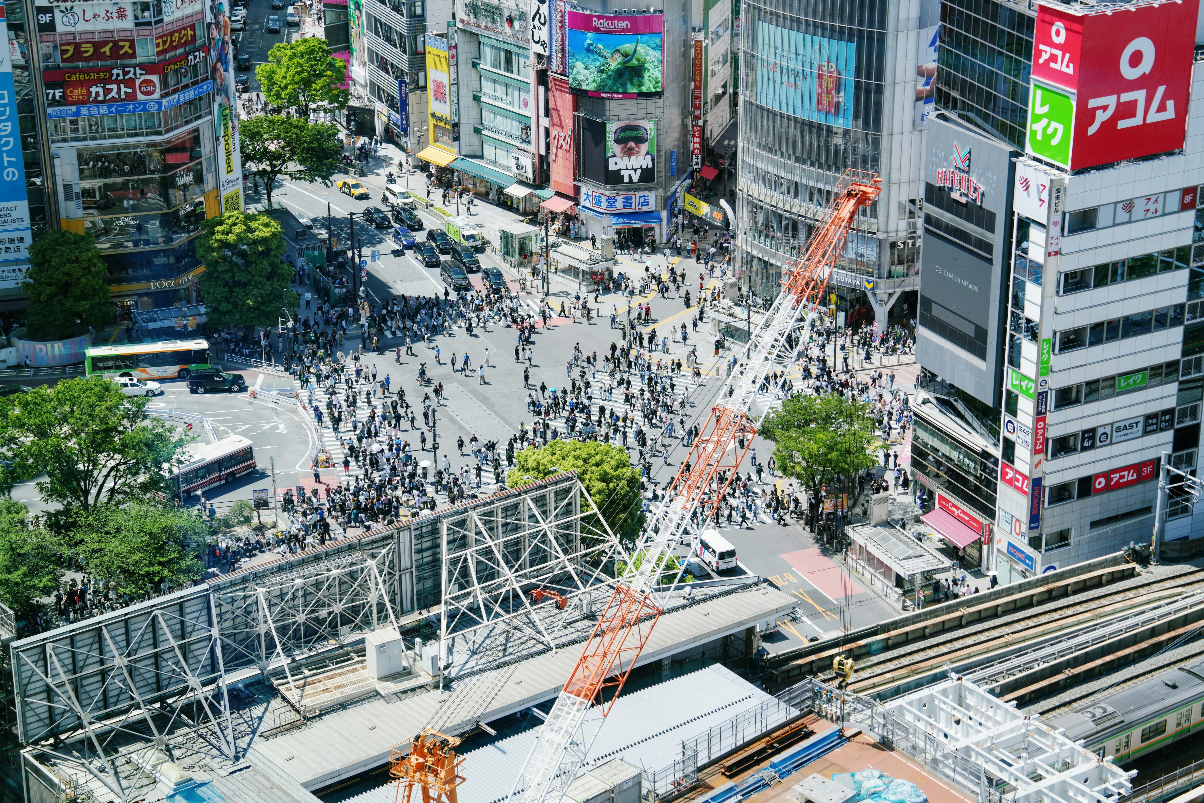 Shibuya Pop Culture Walk & Sky Observation Tour