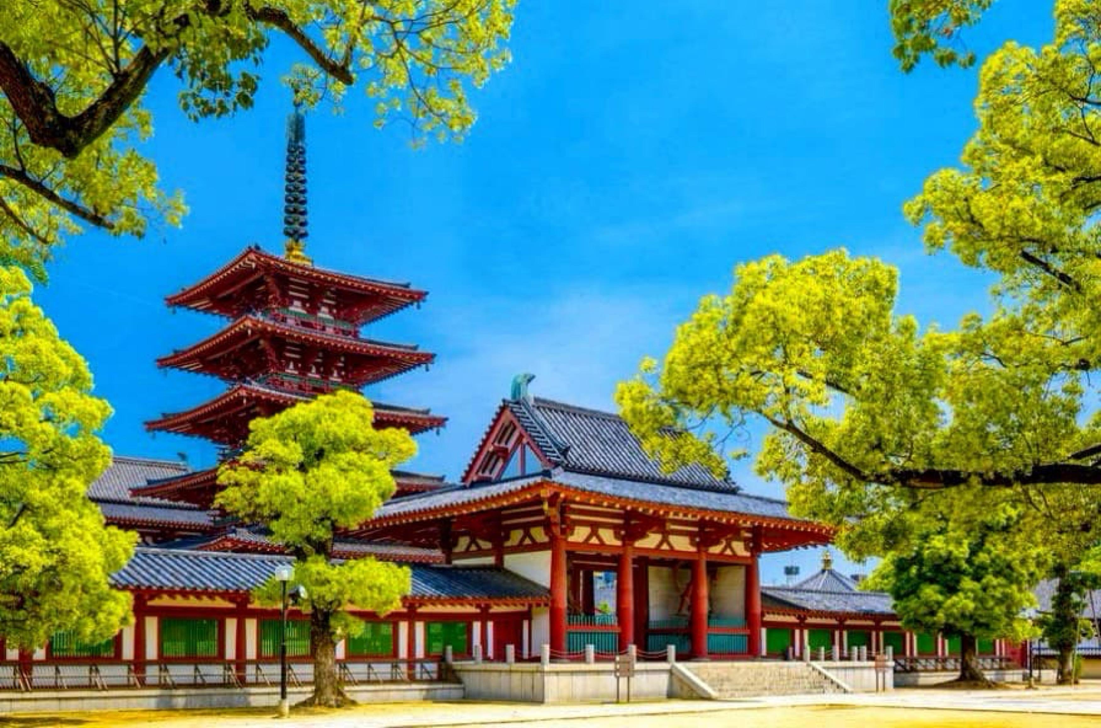 Full-Day Private Osaka Discovery Tour