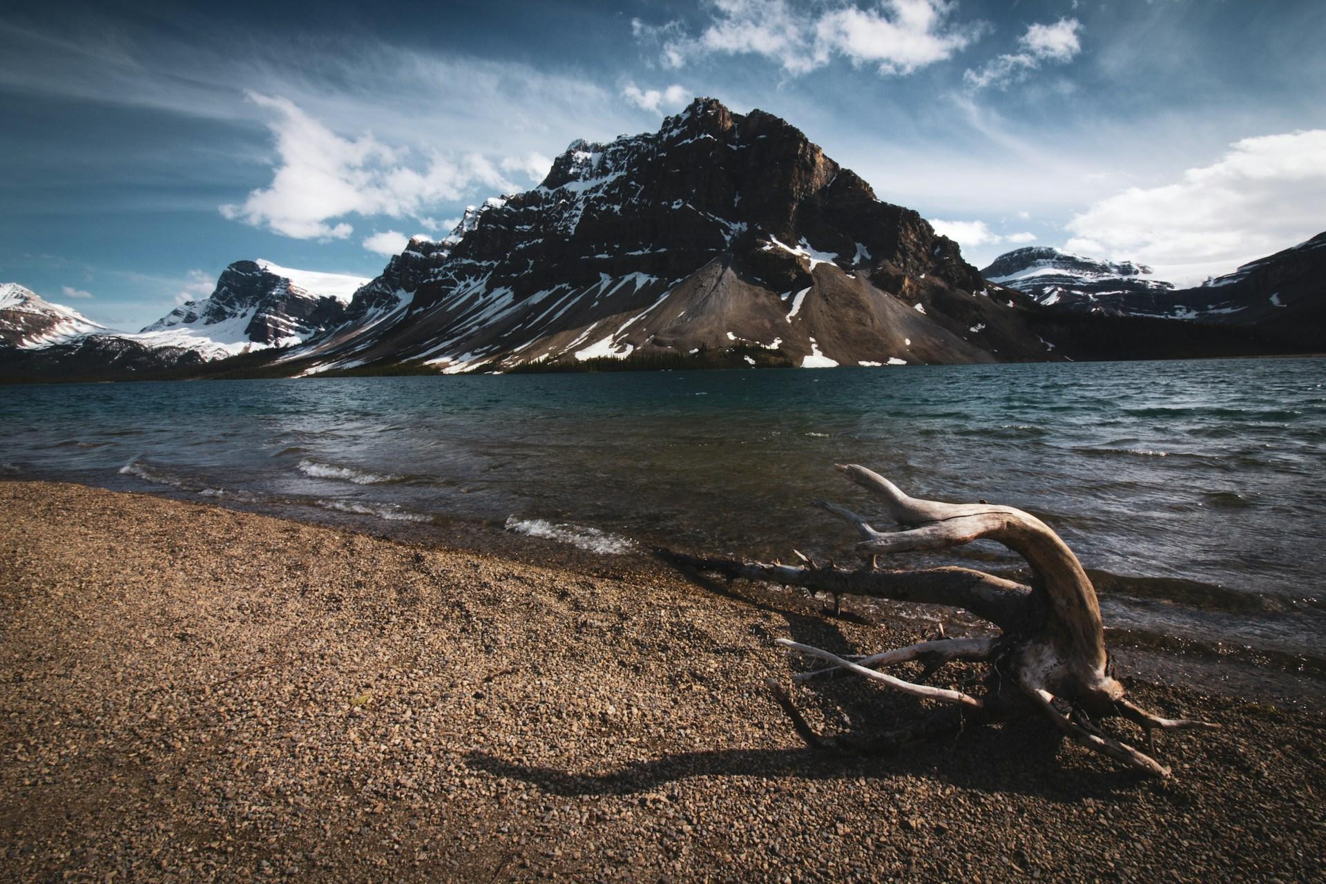 Banff & Jasper: Columbia Icefield, Bow Lake Peyto Lake Tour - 2026 (Verified Reviews)