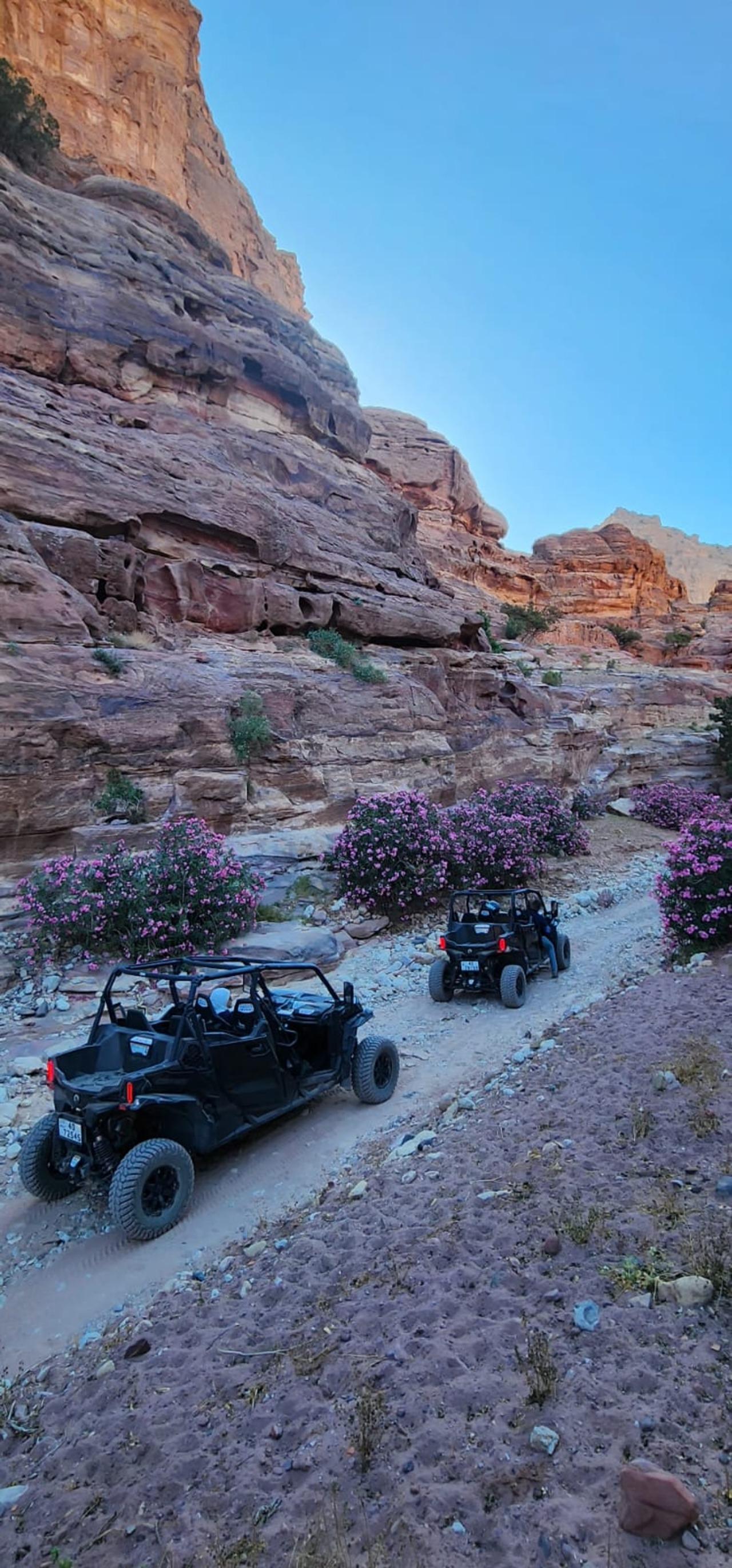 Petra Mountains Hidden Trails: Private UTV Adventure (3 Hours)