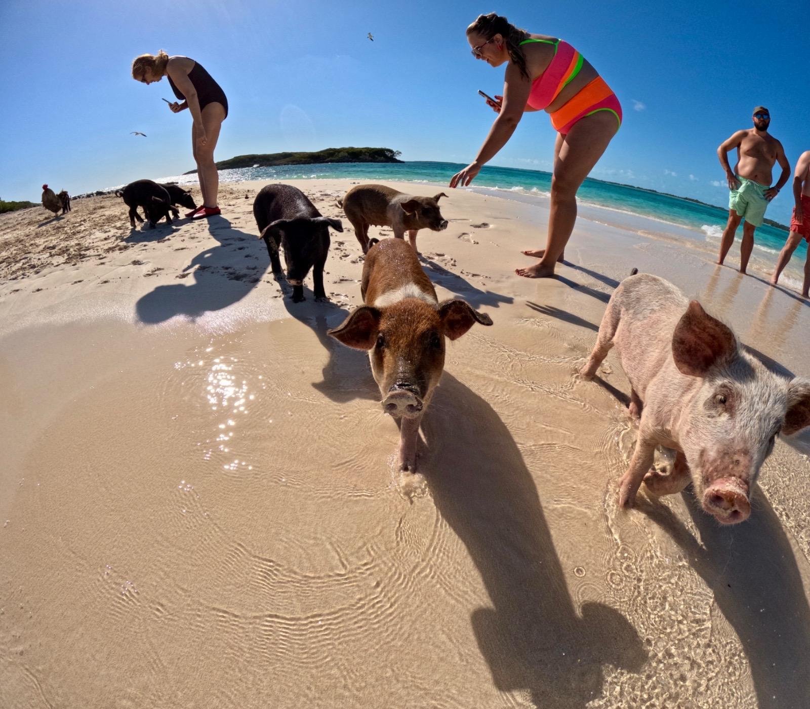 Nassau Private Boat & Snorkel Adventure