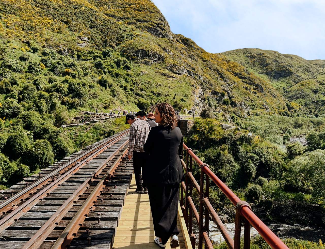 South Island guided tour photo — image 11