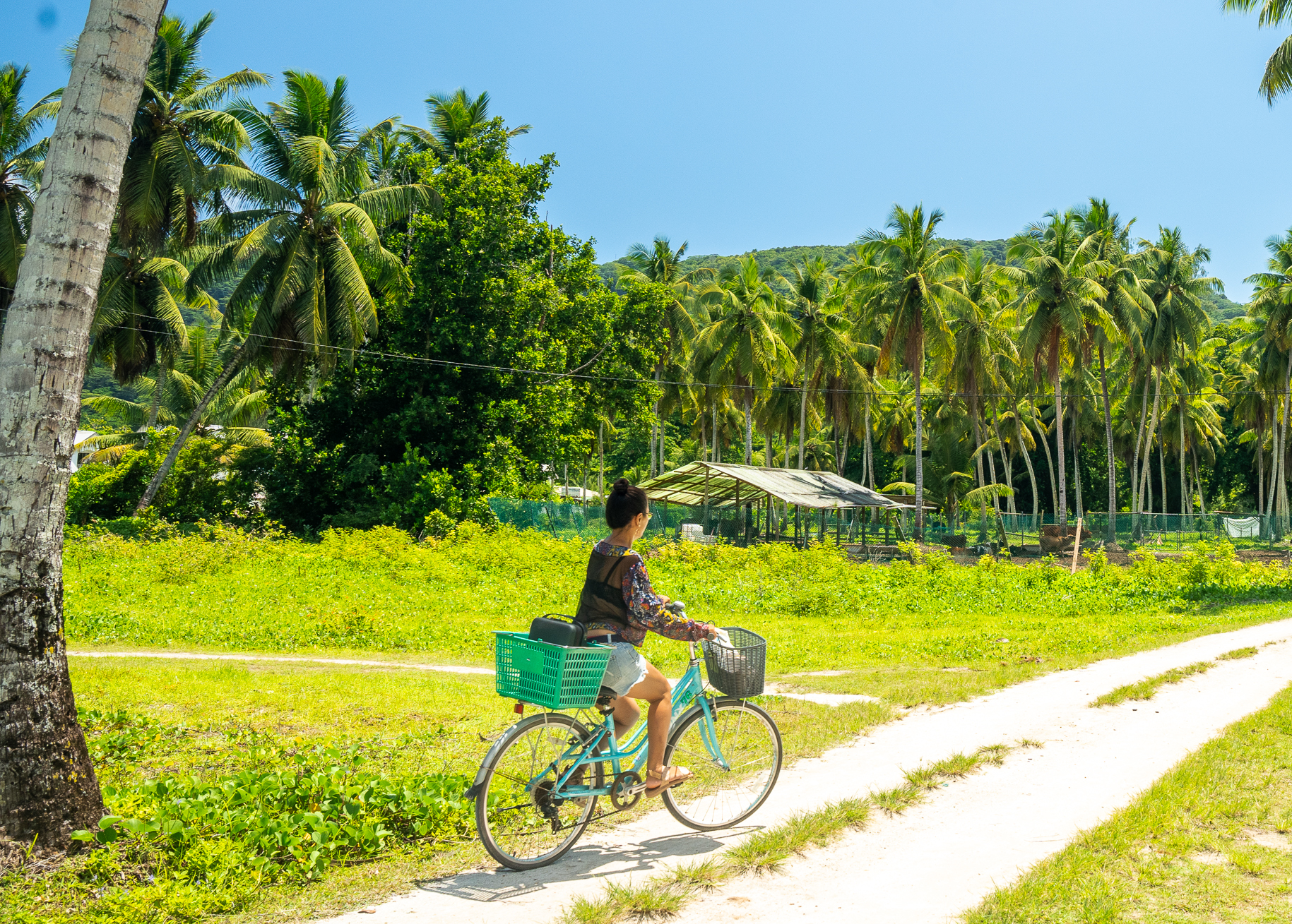 La Digue Day Trip by Ferry & Bike from Mahé