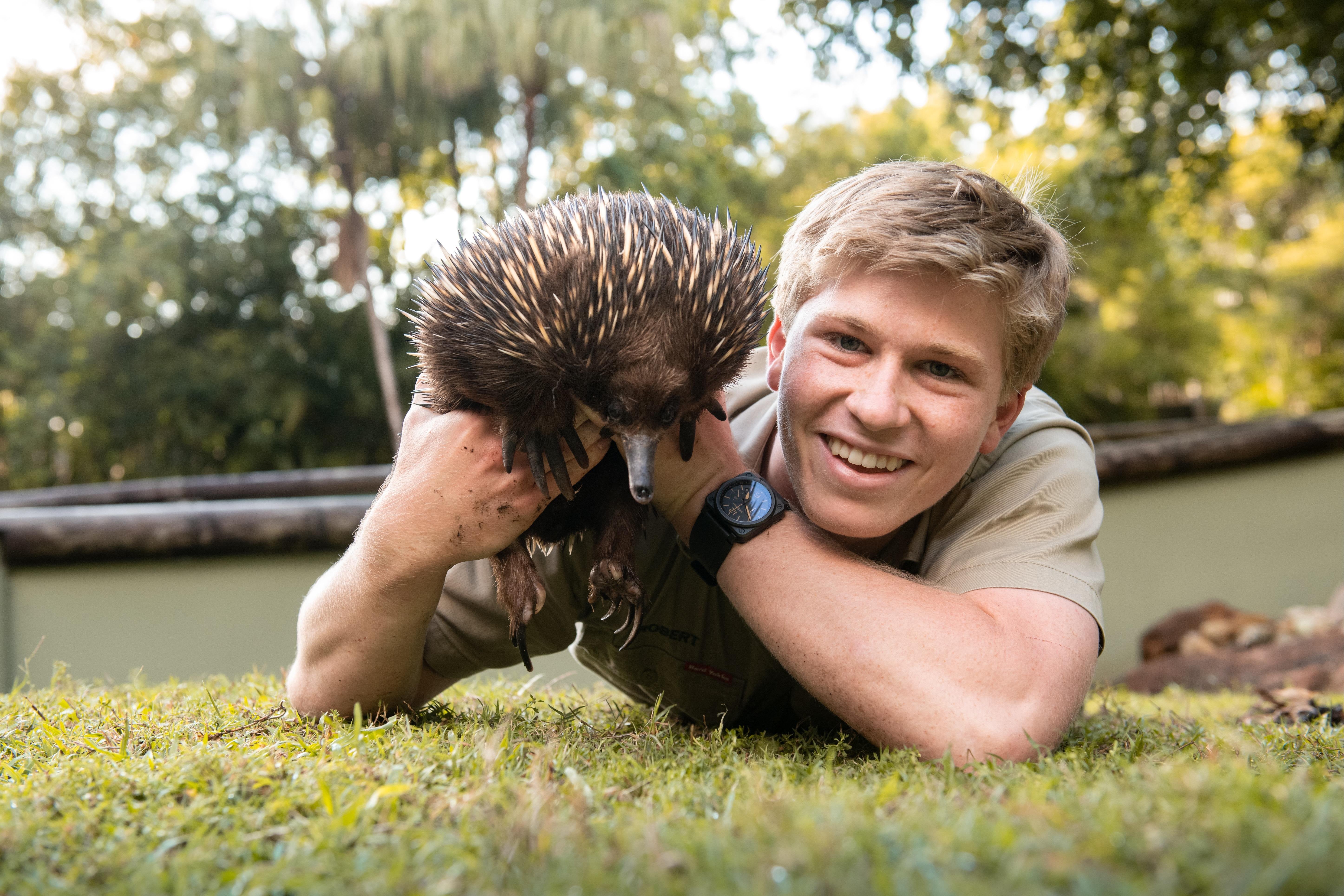 Australia Zoo Day Trip with Hotel Transfers from Gold Coast