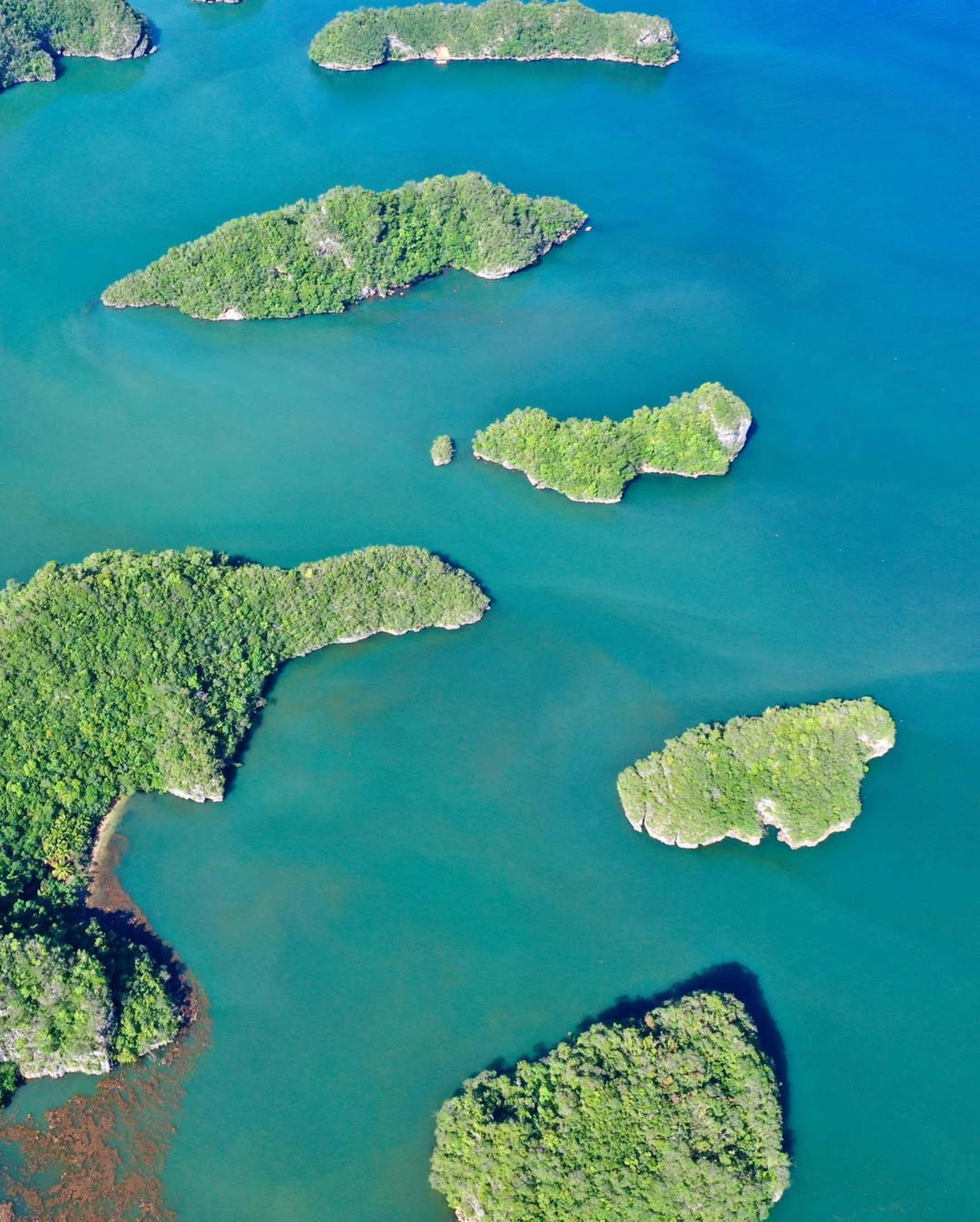 Samana: ATV Adventure, Kayaking, and Natural Pools