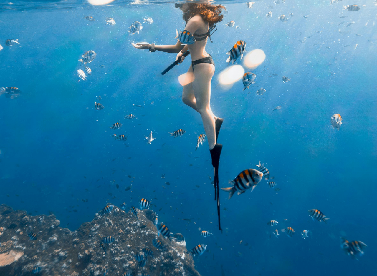 Zanzibar Dolphin Swim & Coral Reef Snorkel – Wildlife-First Half-Day Tour