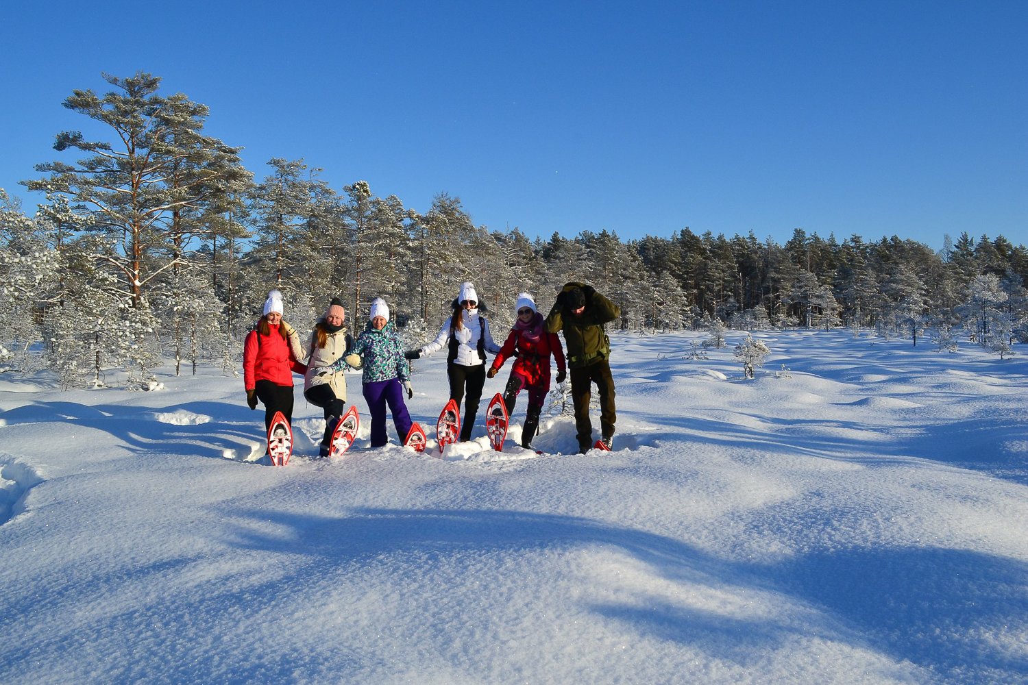 From Tallinn: Guided Bog-Shoe Hiking Tour