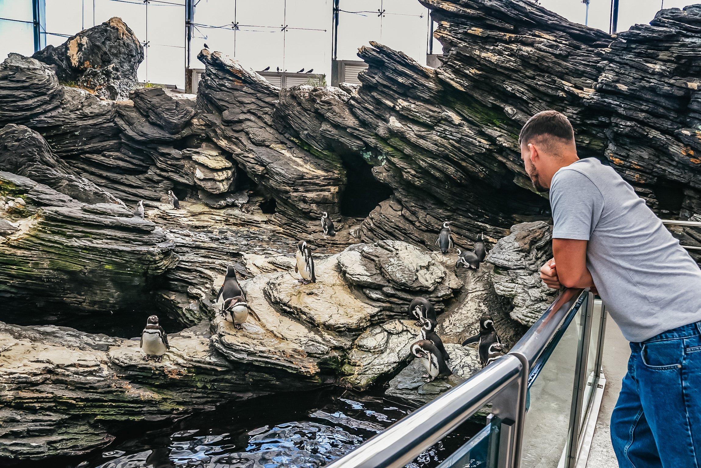 Lisbon Oceanarium: General Admission Ticket