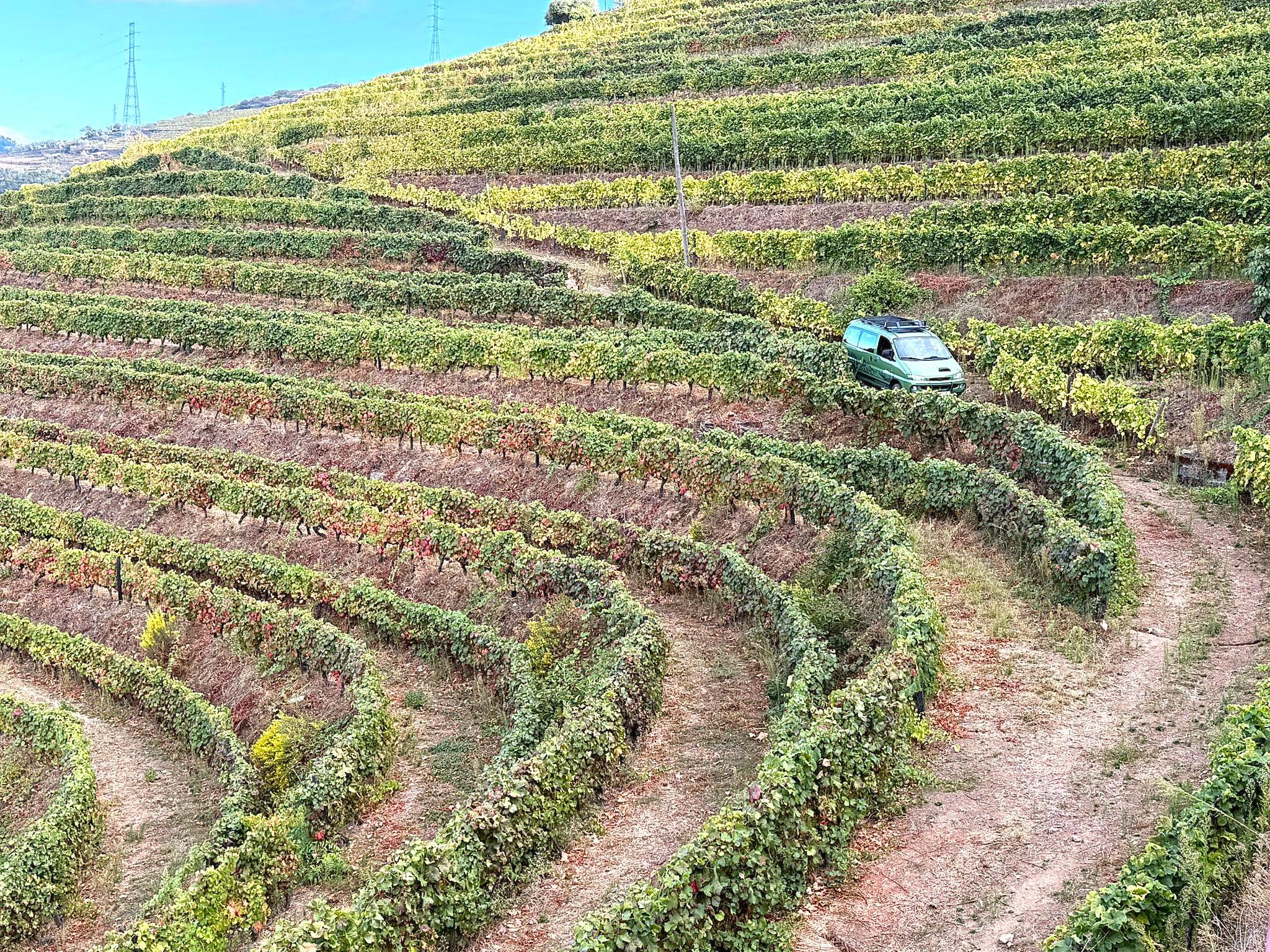 Private Douro Valley 4x4 Adventure with Wine & River Cruise