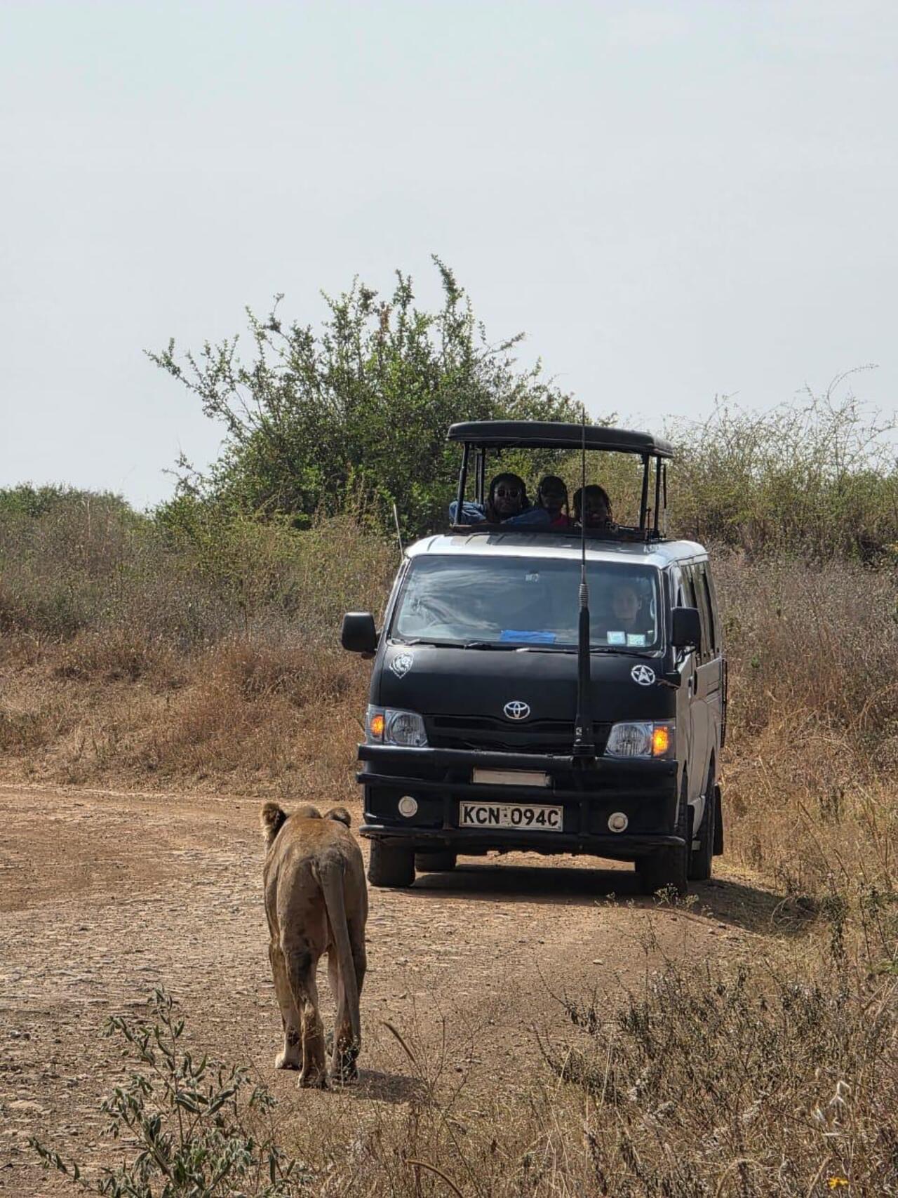 Nairobi National Park 5-Hour 4x4 Wildlife Safari