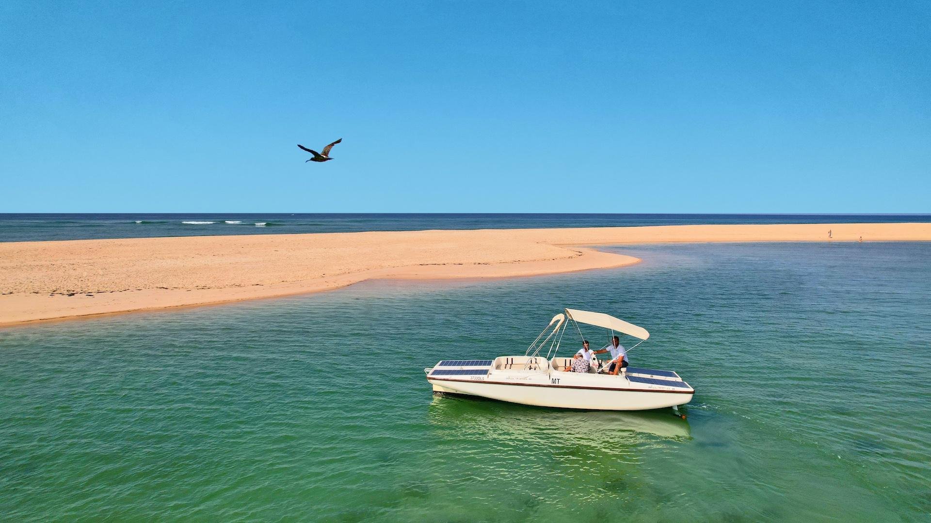 Faro: Ria Formosa Eco Birdwatching Boat Tour