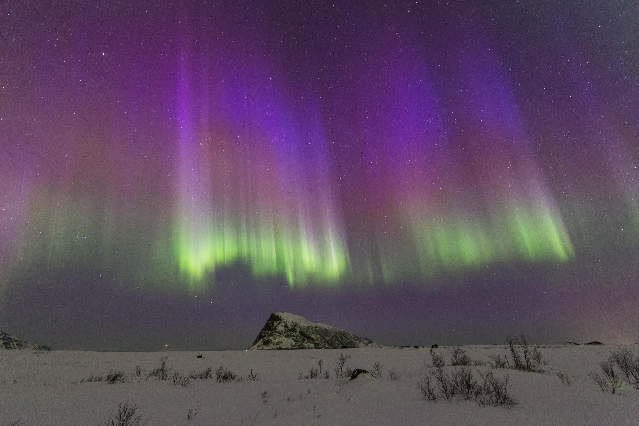 Lofoten: Northern Lights Tour with Photographer