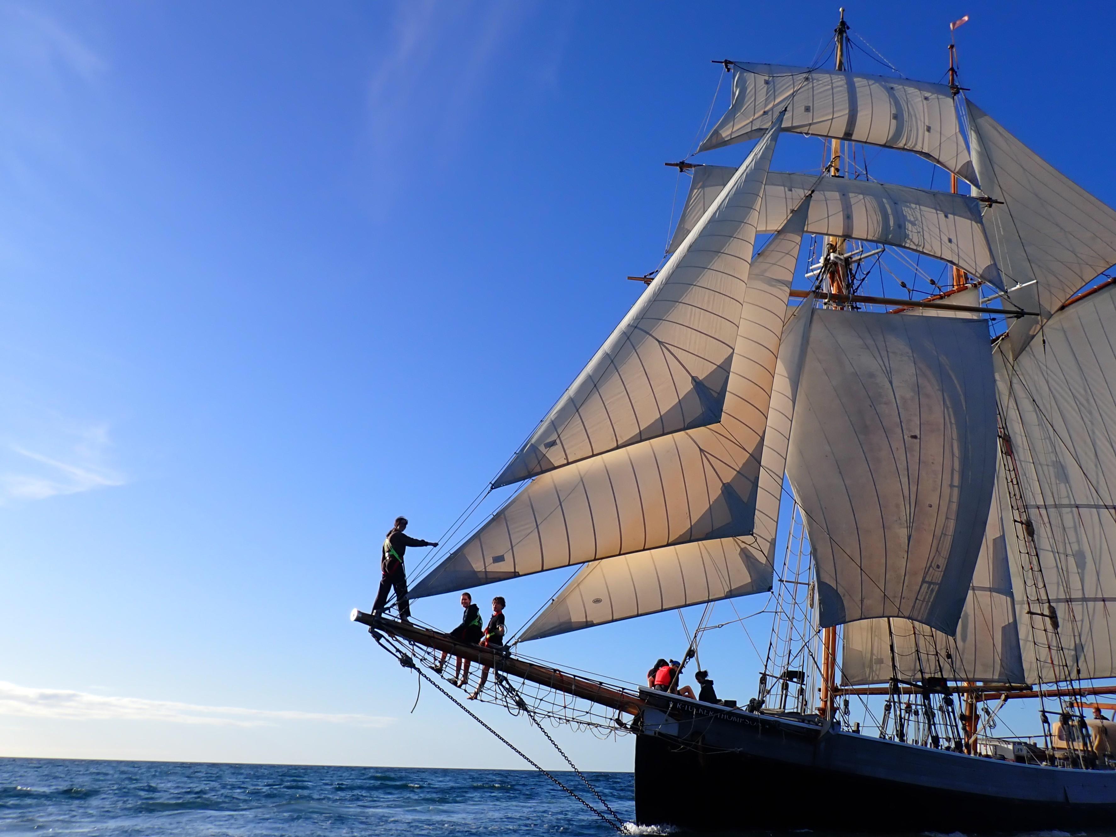 Bay of Islands Tall Ship Adventure