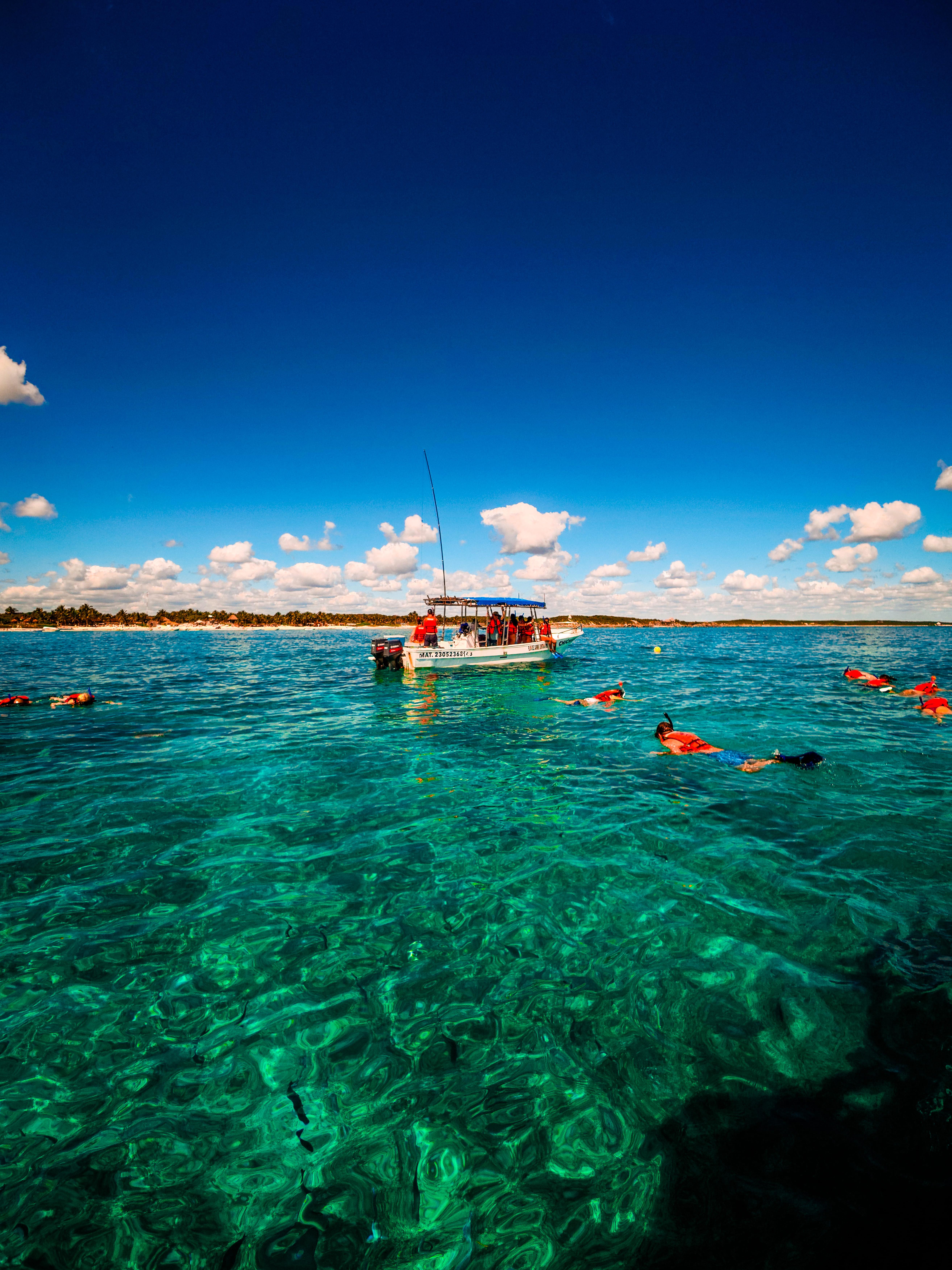 Tulum Ocean Snorkel: Sea Turtles, Coral Reef & Ruins View