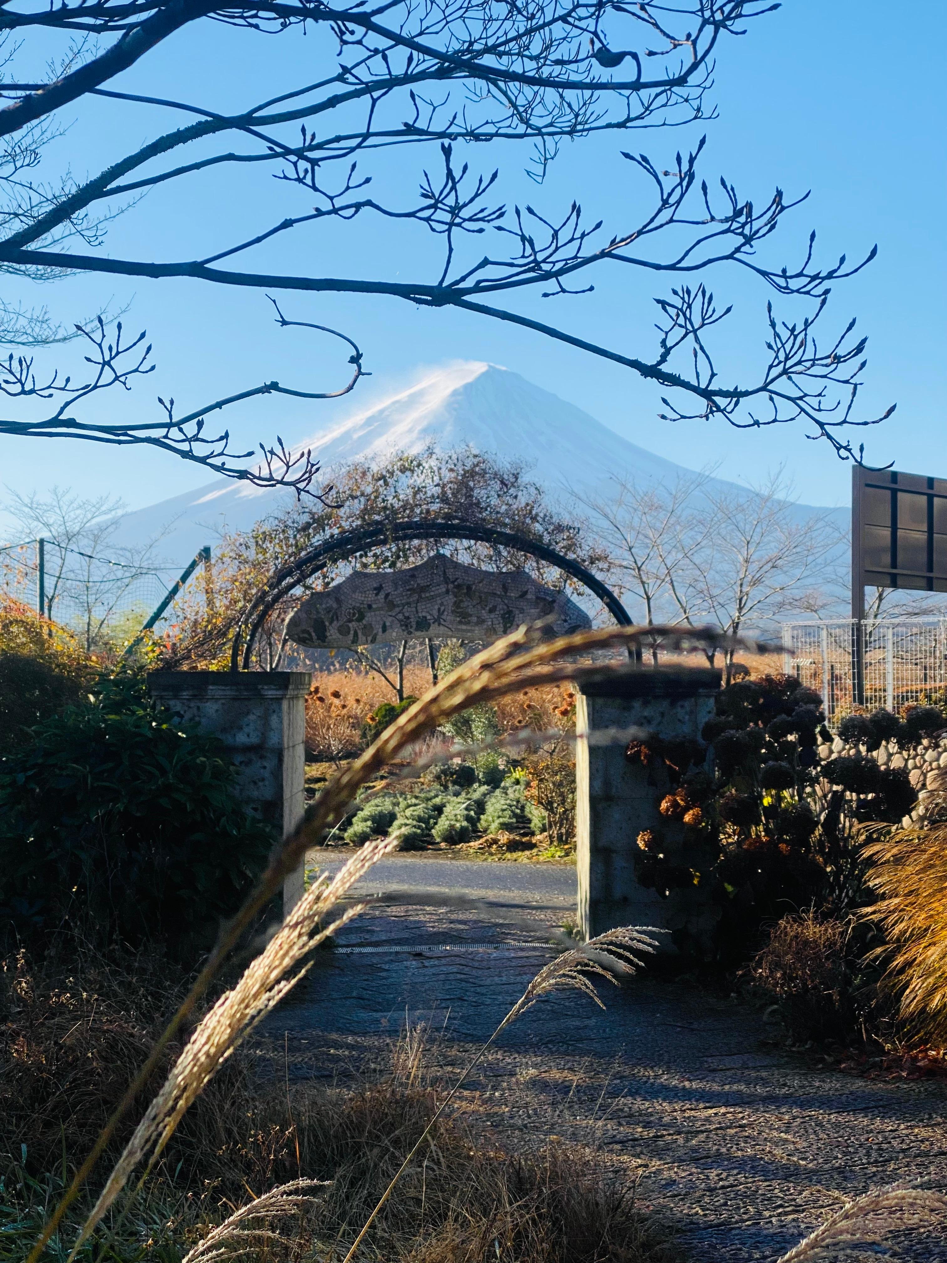 Mount Fuji Private Day Tour from Tokyo with English Guide