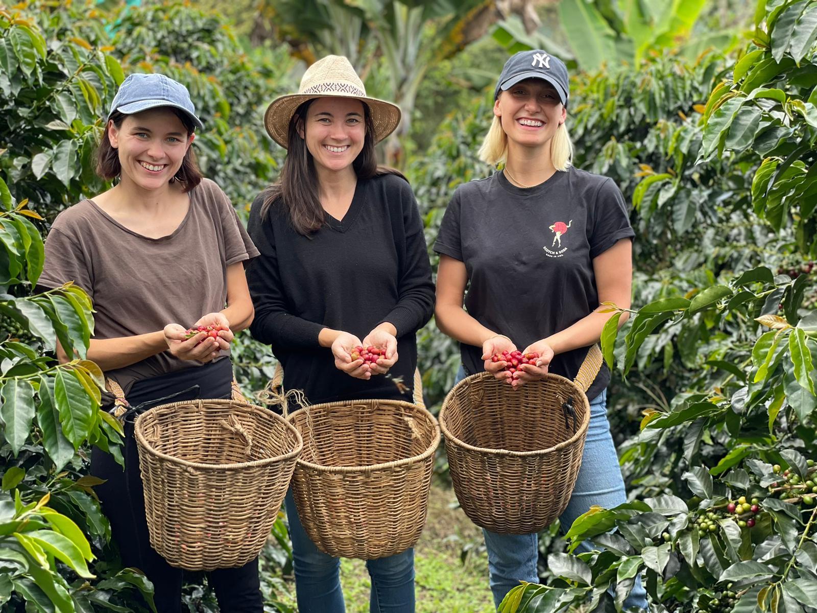 Full-Day Coffee Farm Experience from Bogotá