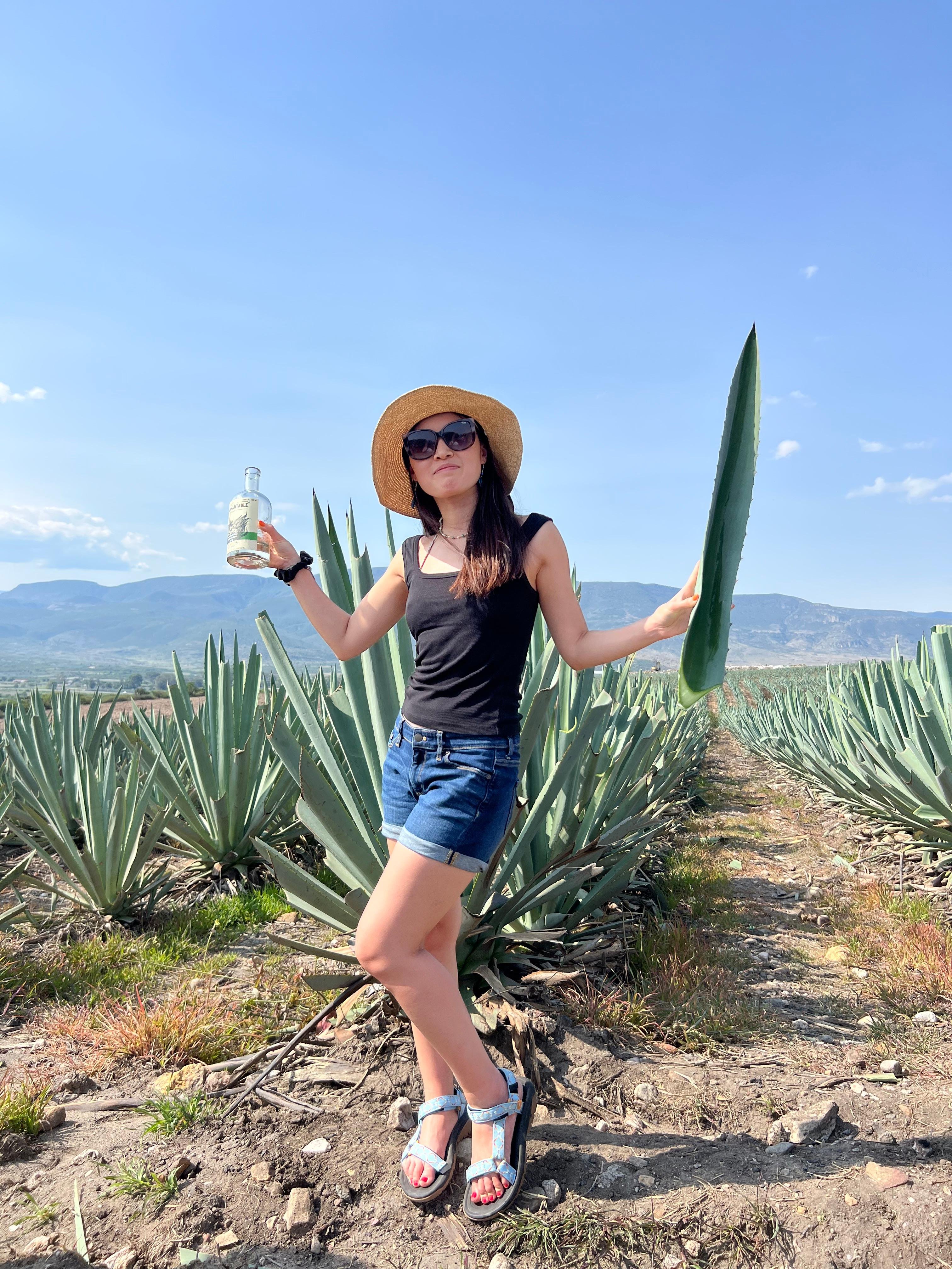 mezcal tasting in Oaxaca — photo 8